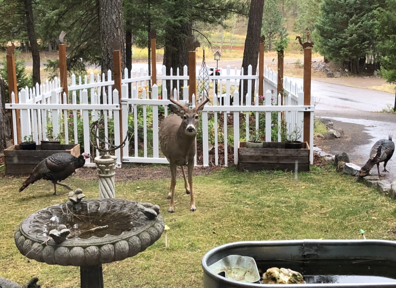 128 Tamarack Drive