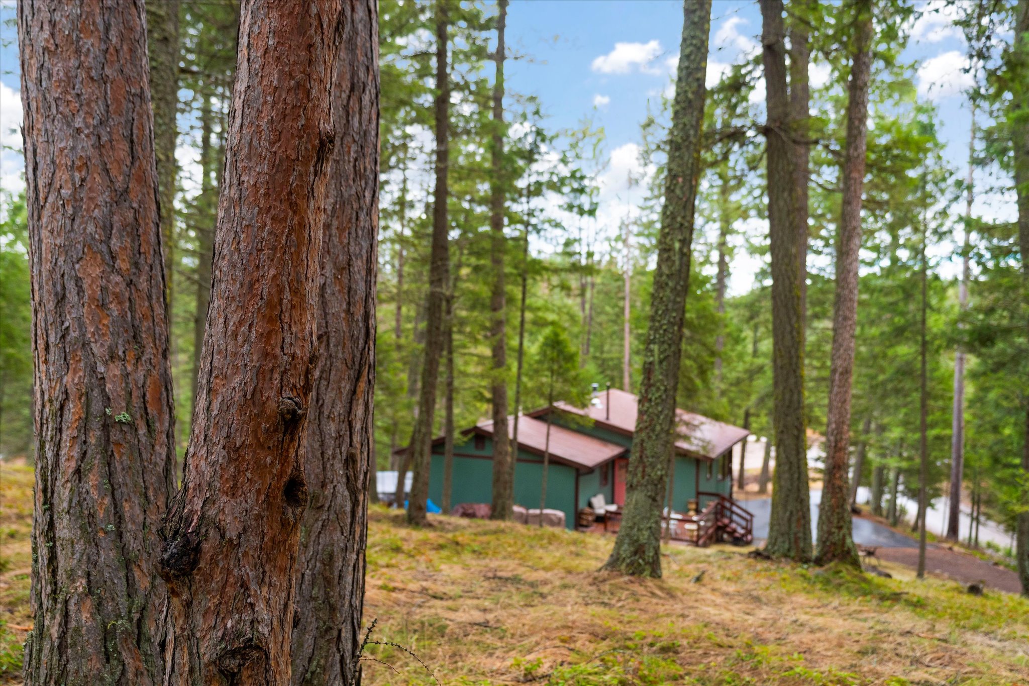 128 Tamarack Drive