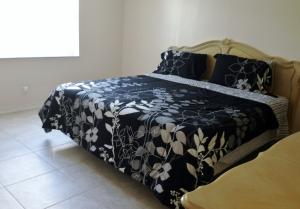 1155 Lake Shore Drive 206