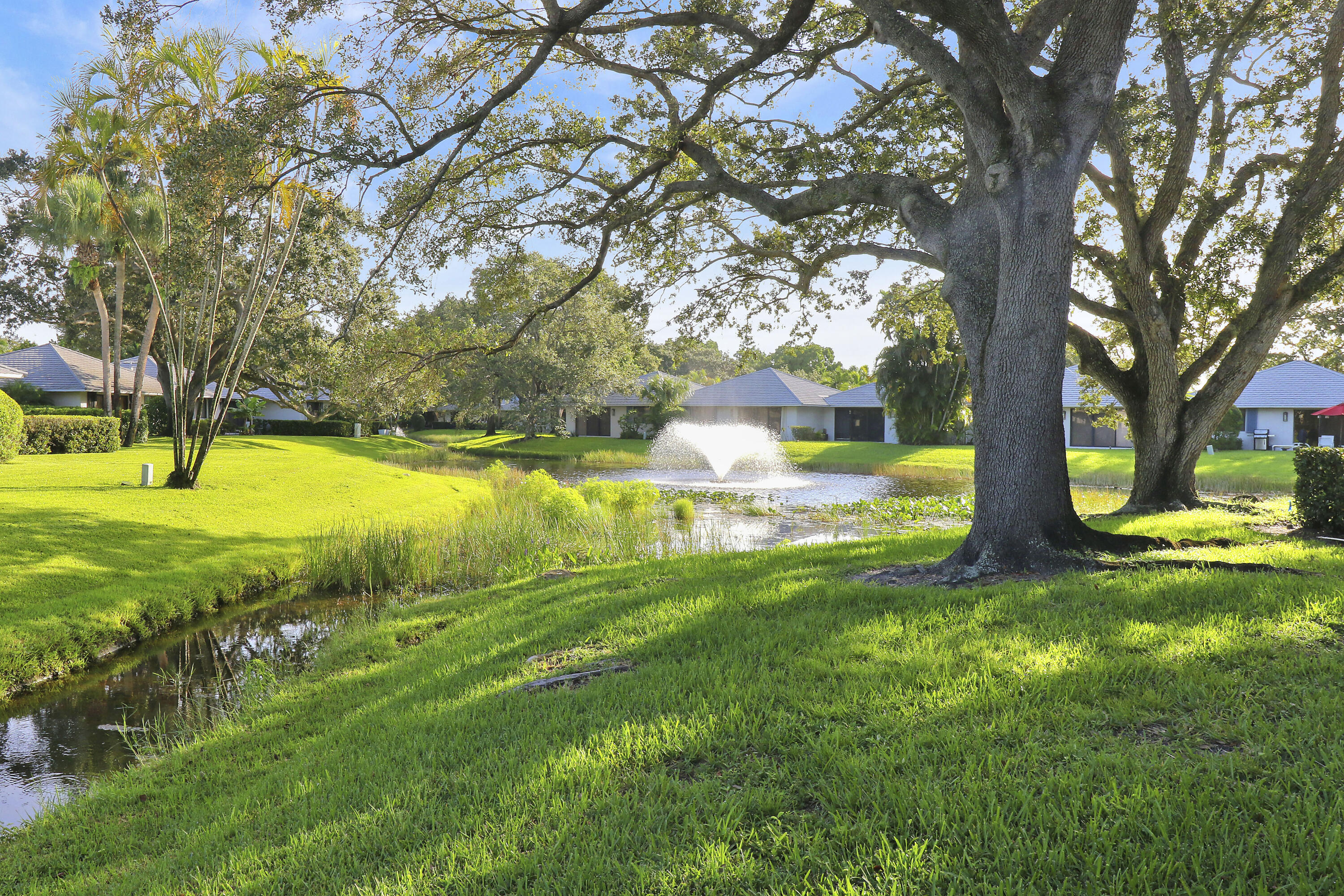 407 Club Drive