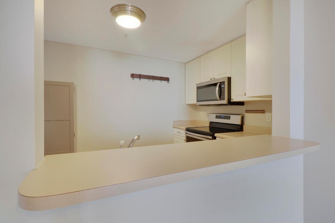 255 Evernia Street 1022