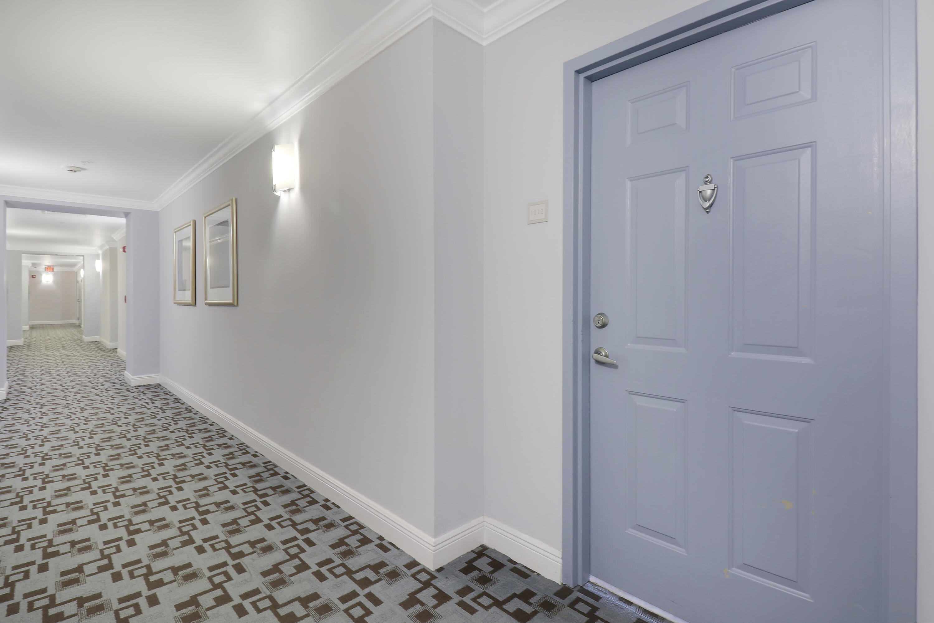 255 Evernia Street 1022