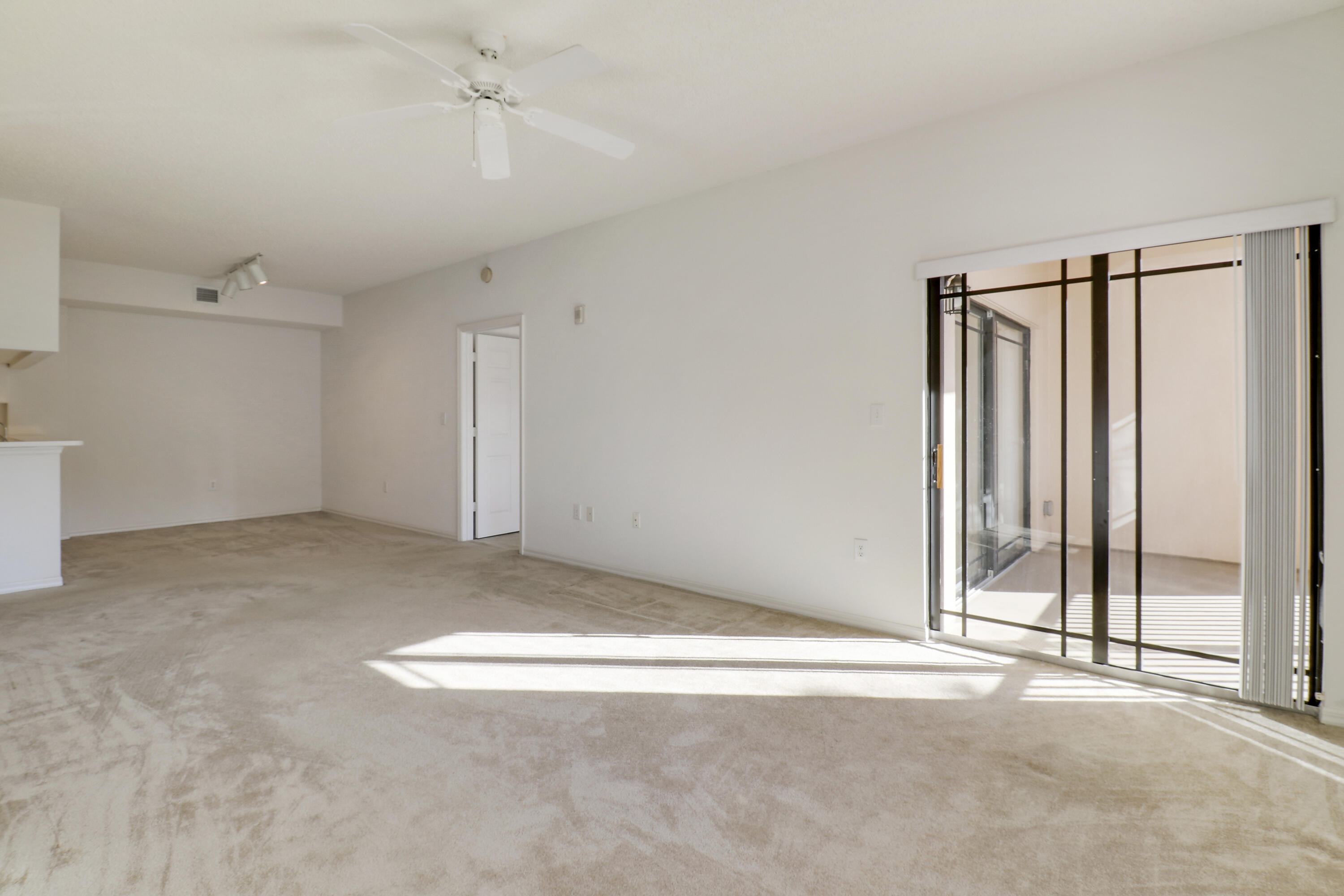 2808 Amalei Drive 203