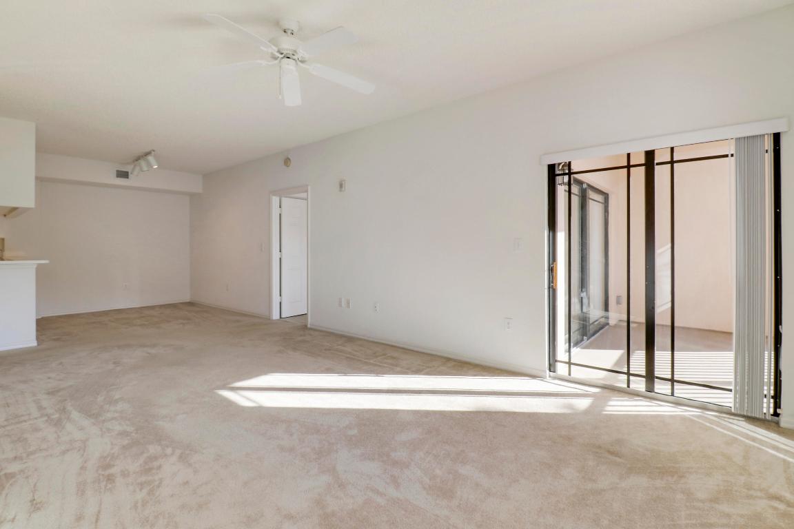 2808 Amalei Drive 203