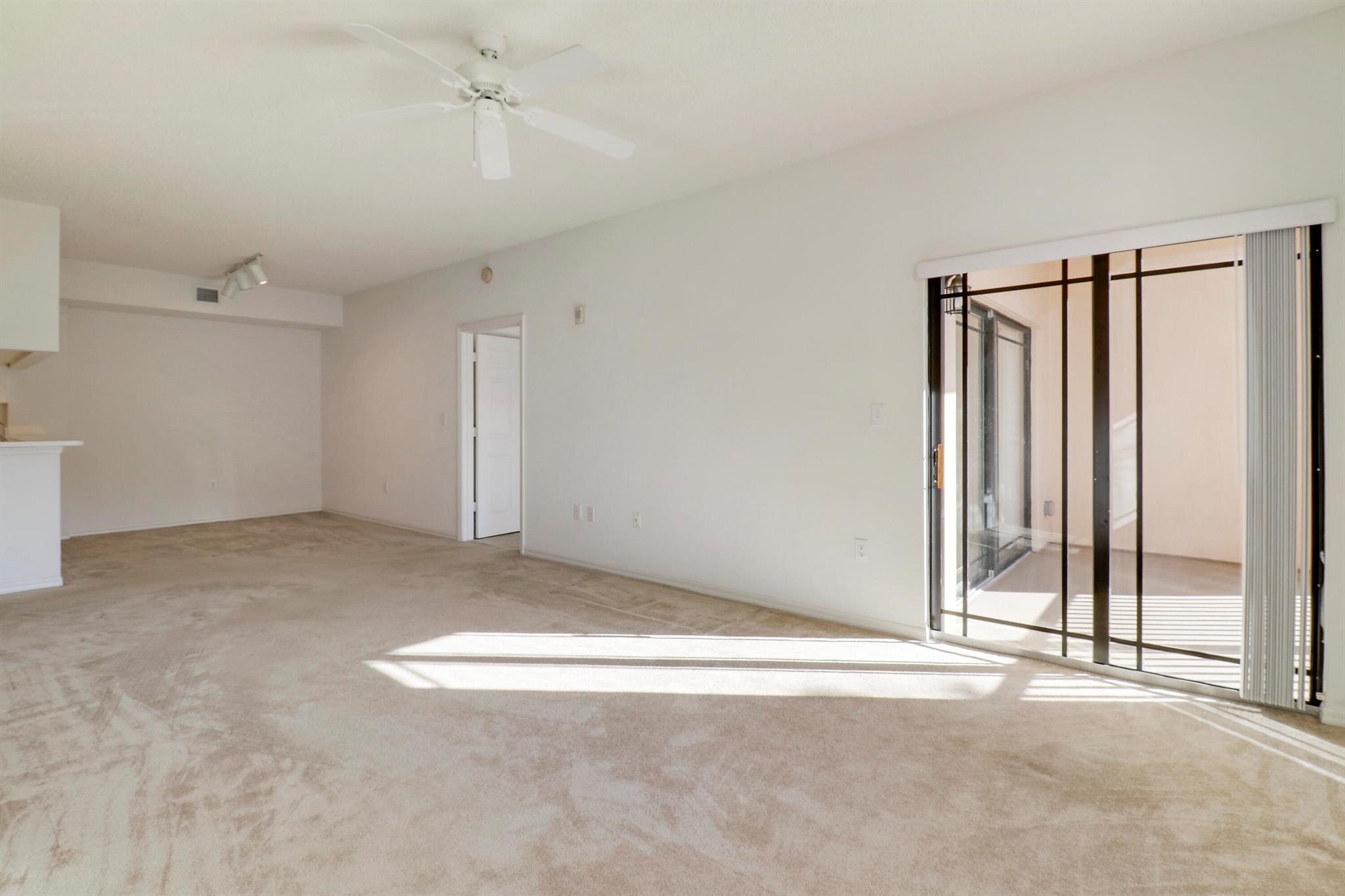 2808 Amalei Drive 203