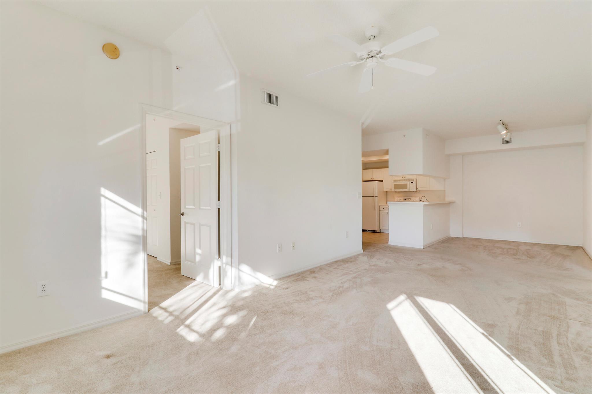 2808 Amalei Drive 203