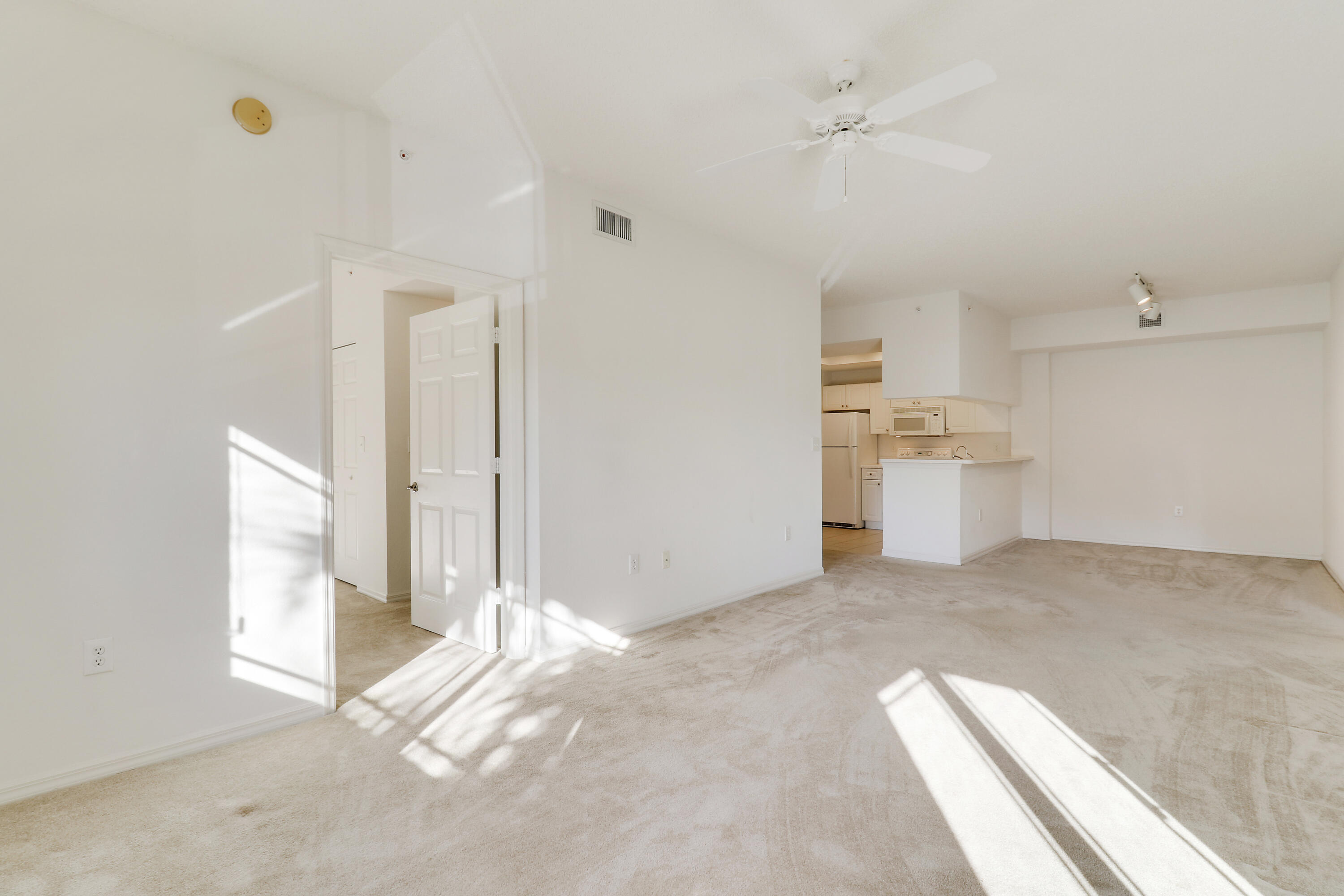 2808 Amalei Drive 203