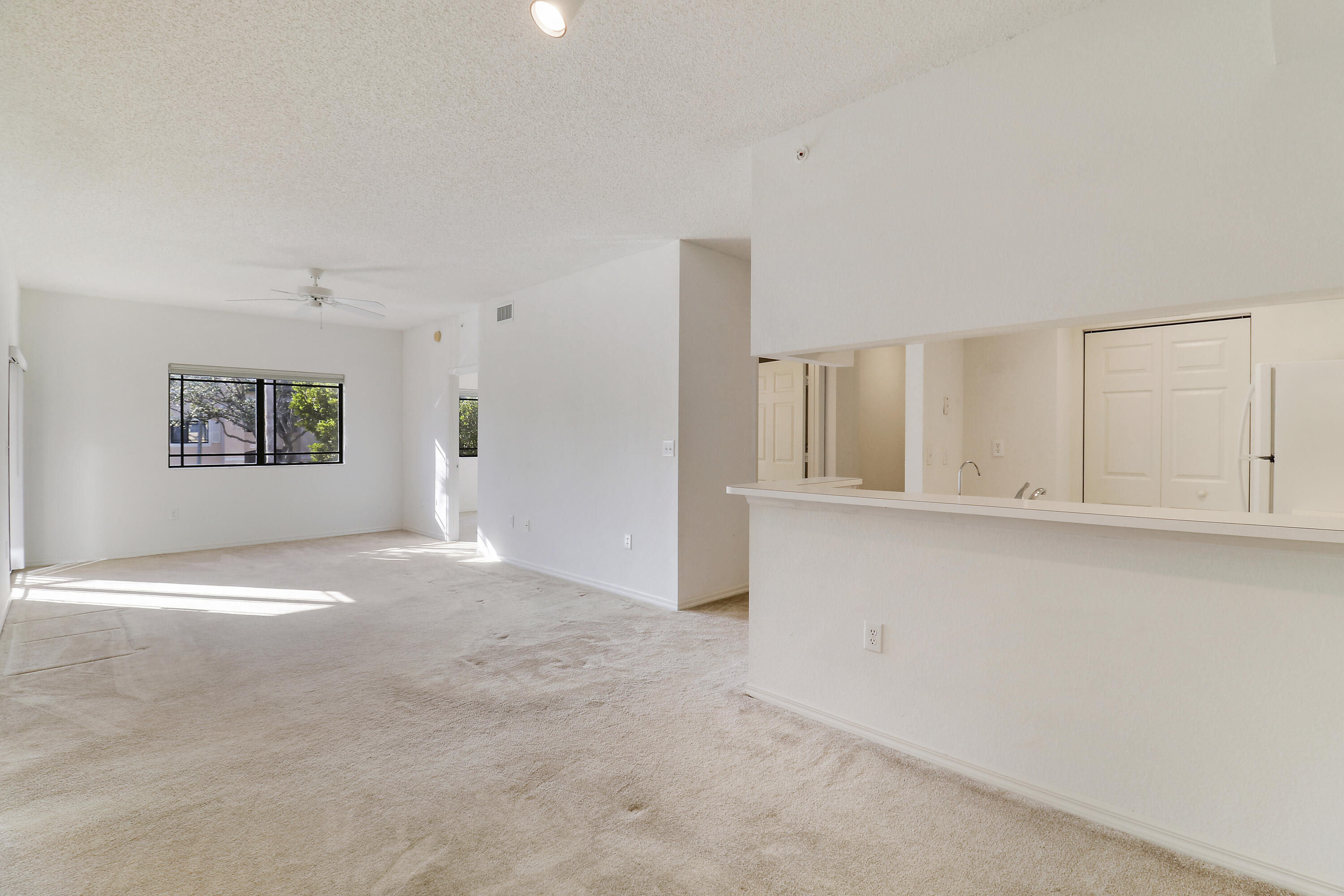 2808 Amalei Drive 203