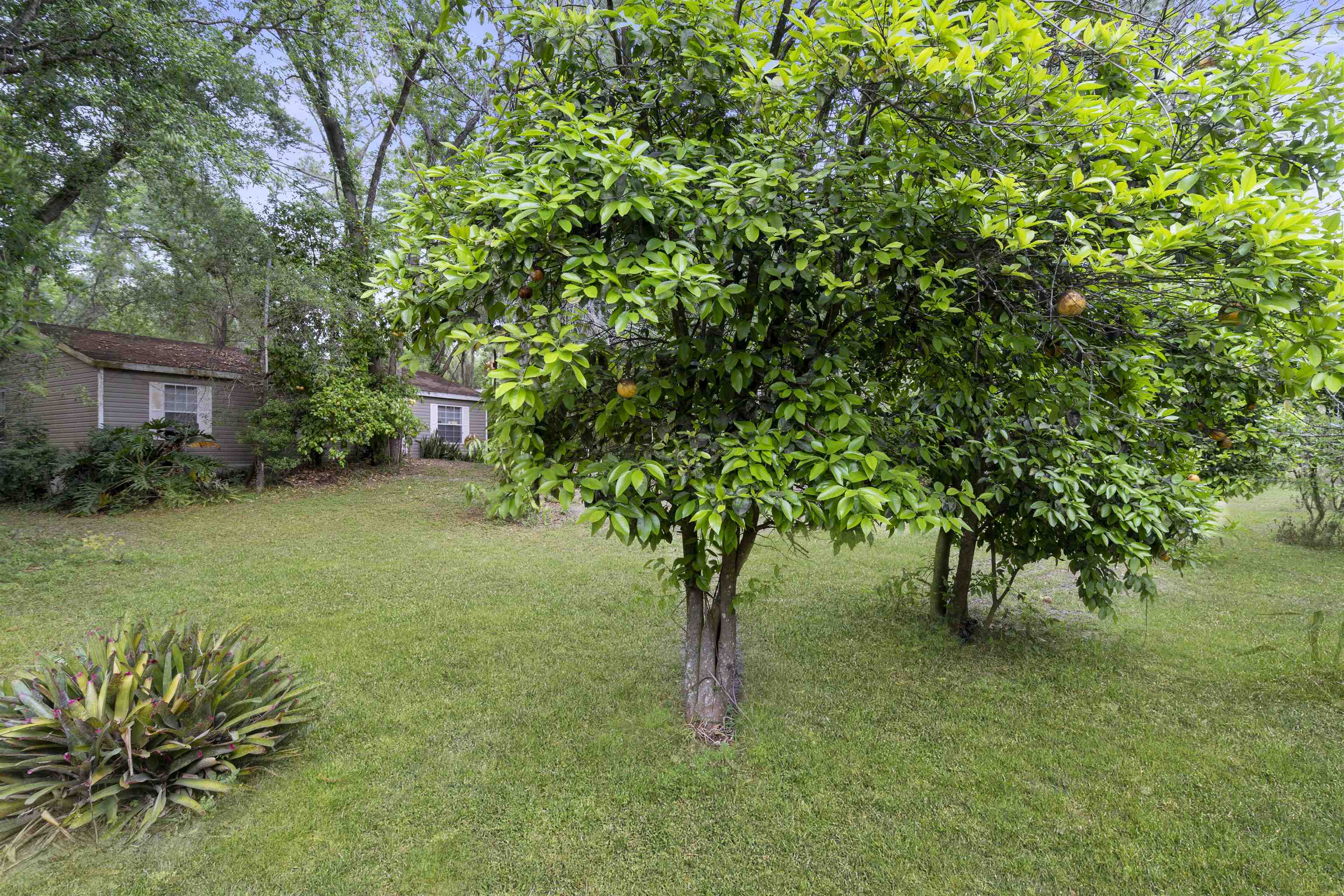 4860 Flagler Estates Blvd