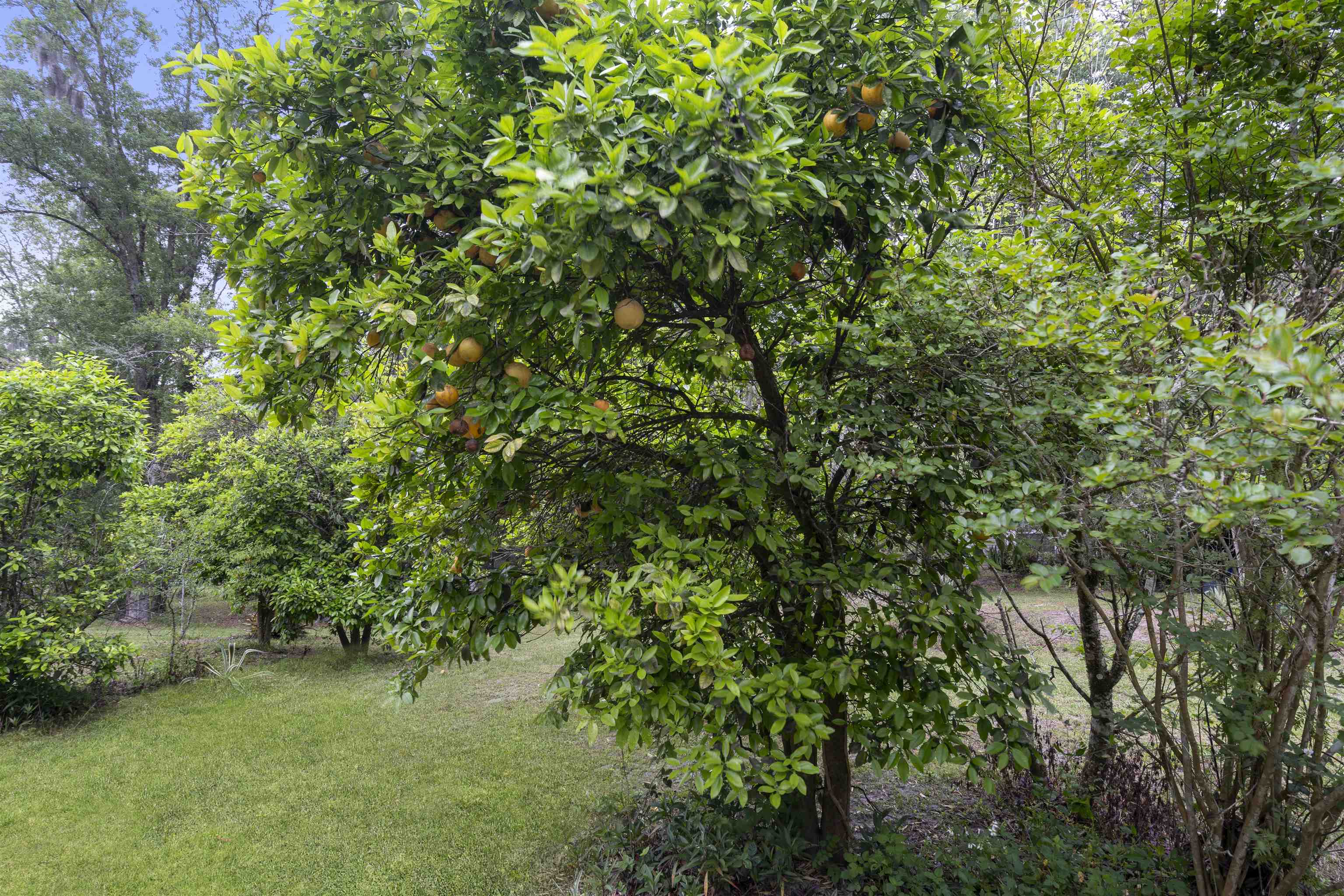 4860 Flagler Estates Blvd