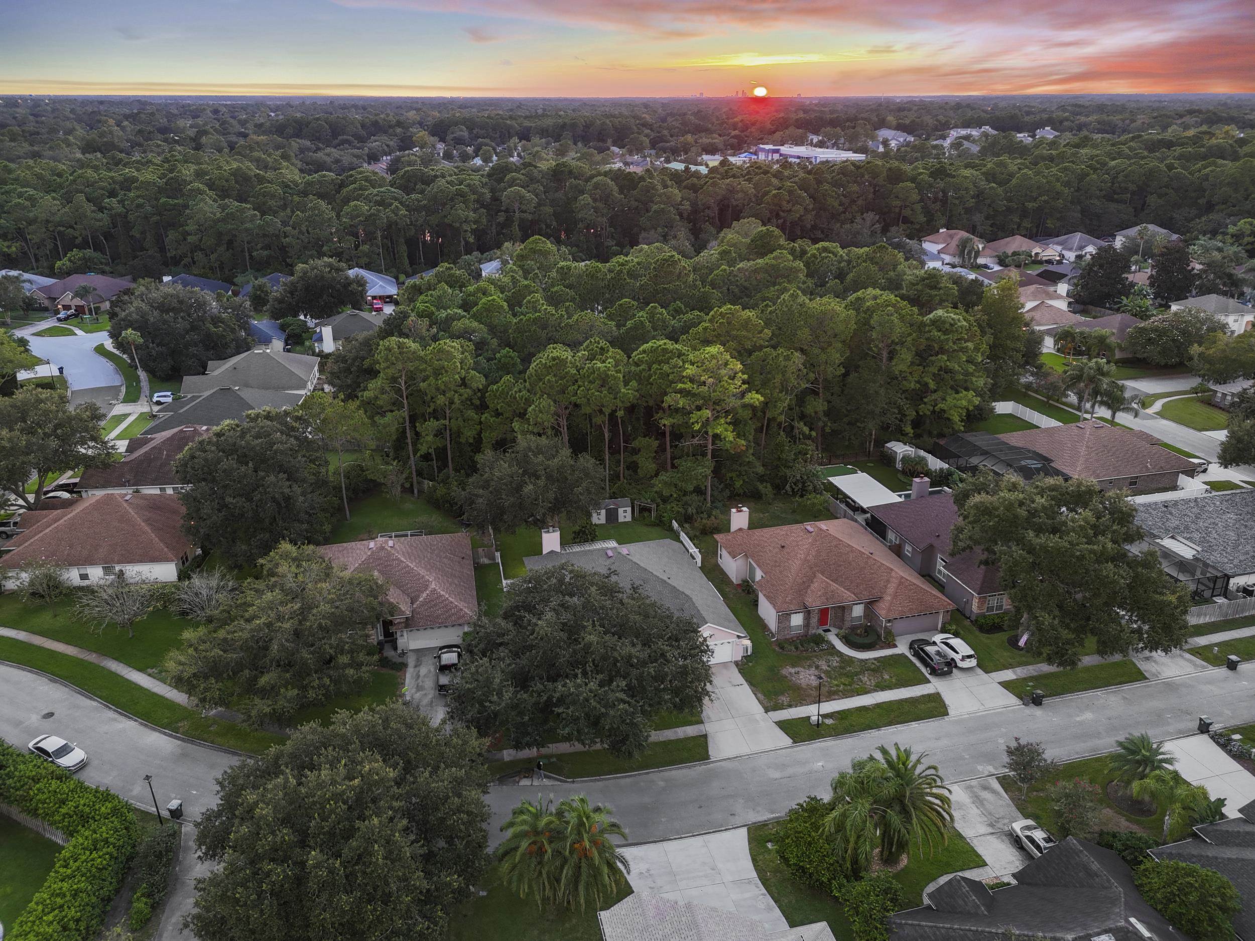 1976 Sandhill Crane Dr