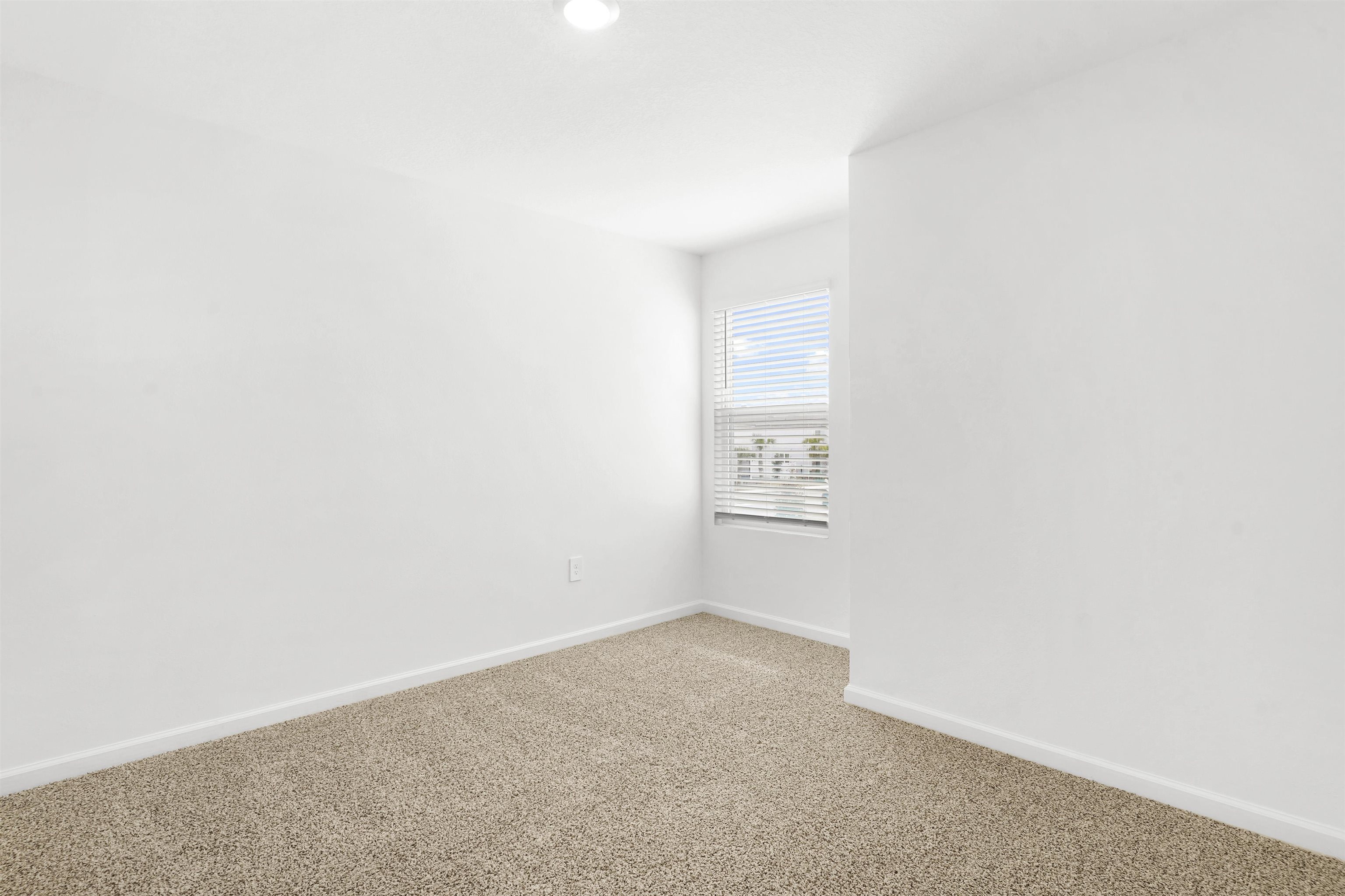 135 Palmetto Ridge Rd