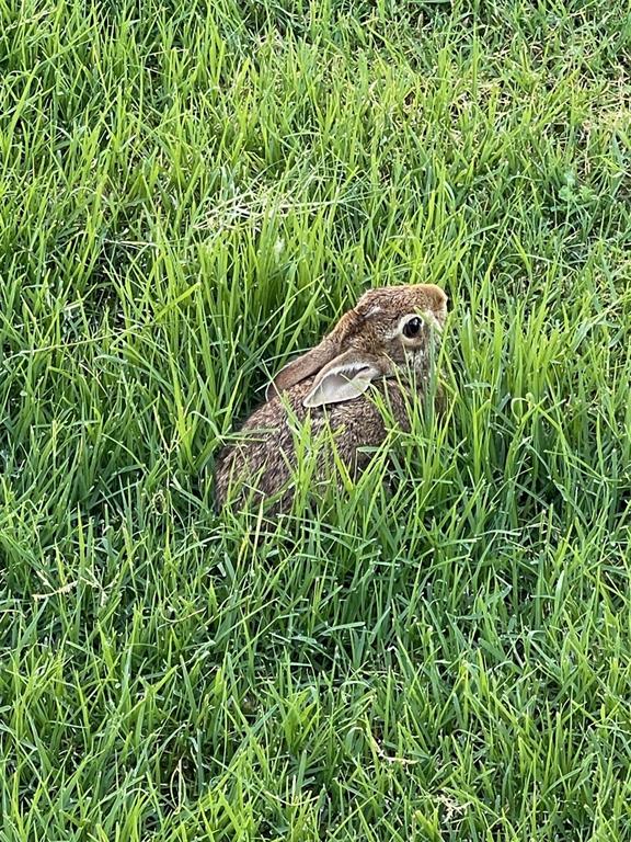 18717 Caballero Drive