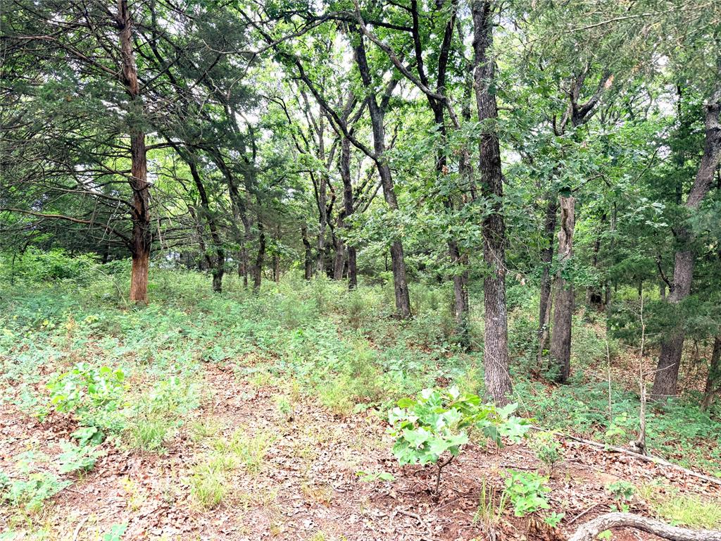 3540 Road