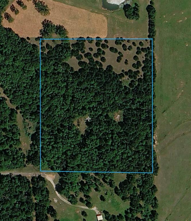 Aerial view of a densely wooded parcel outlined in blue, with open fields and a curving driveway.