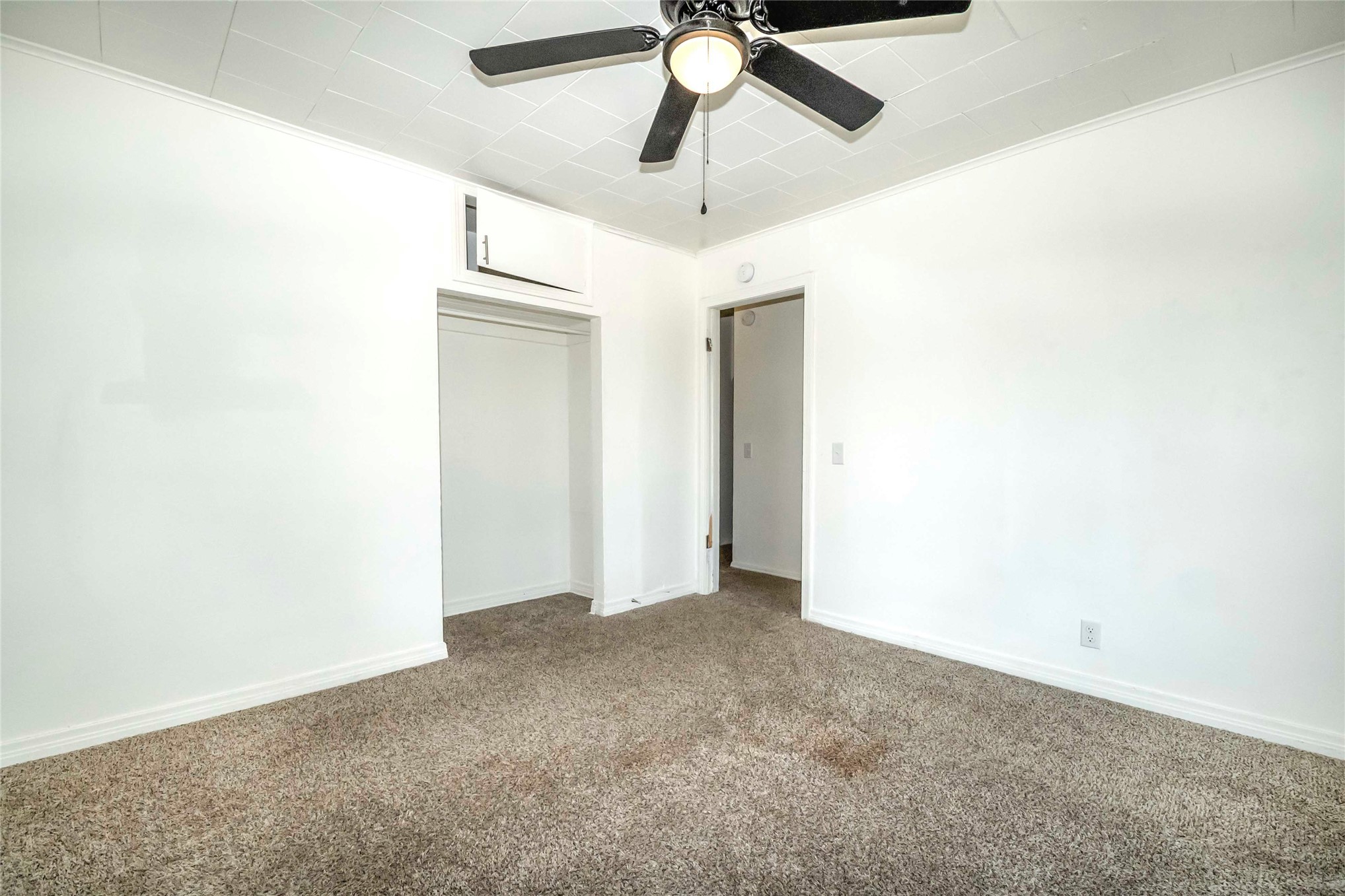 313 W Moses Street