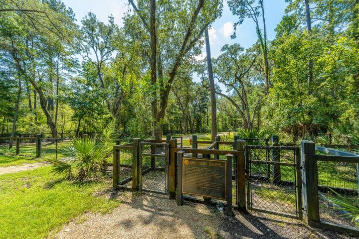 1825 Ground Pine Drive