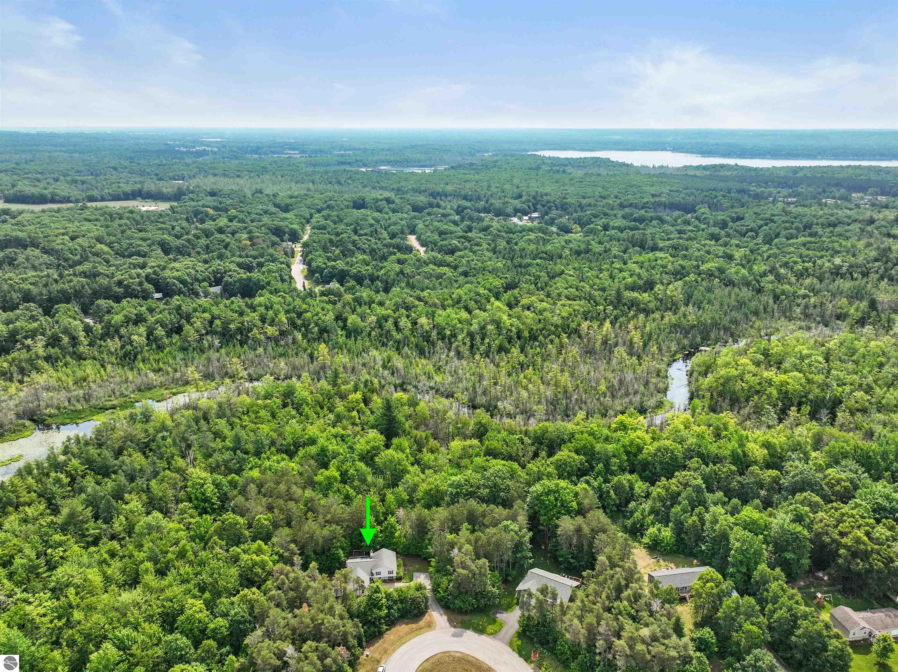 10011 Betsie Creek Drive