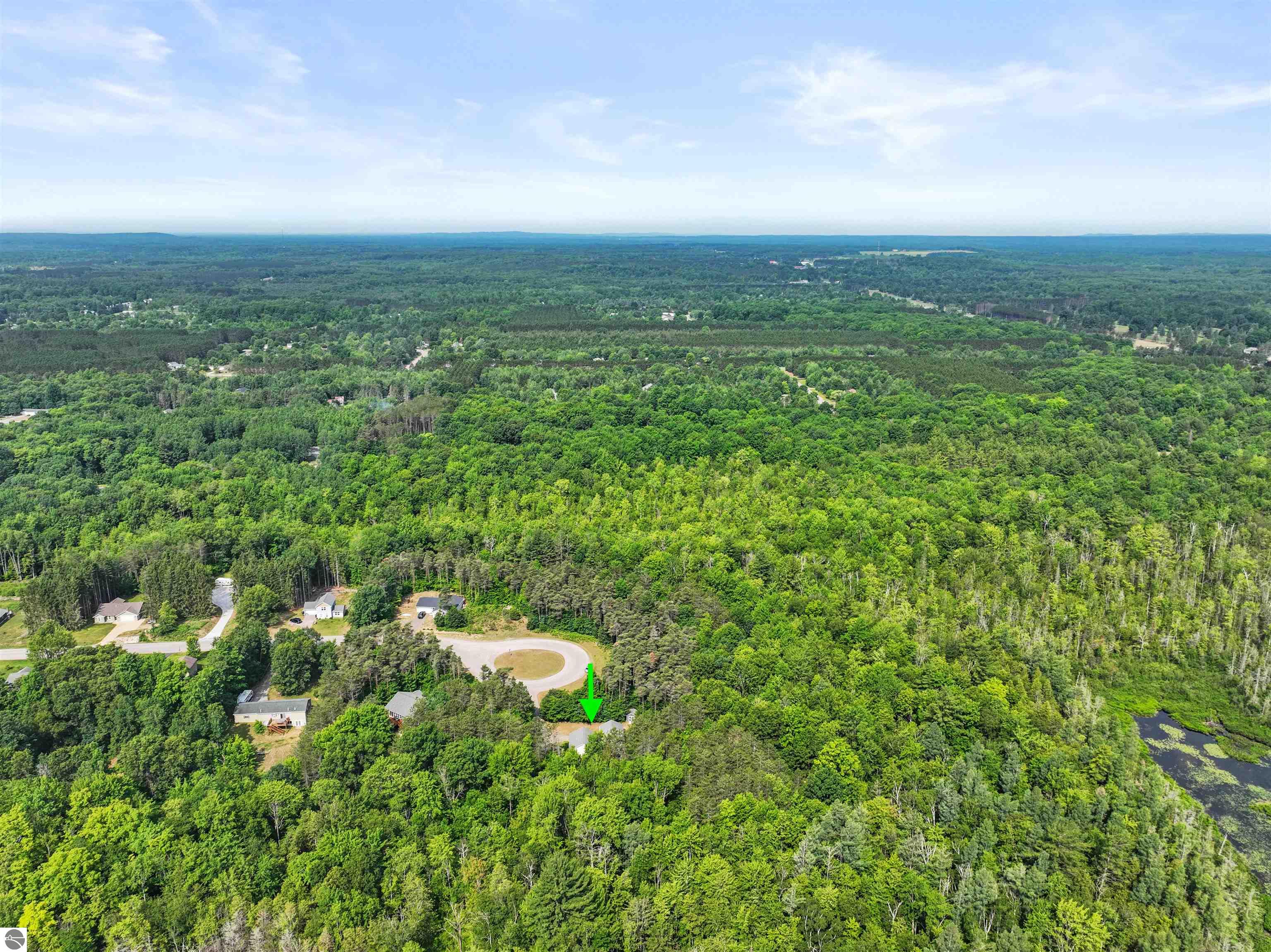 10011 Betsie Creek Drive