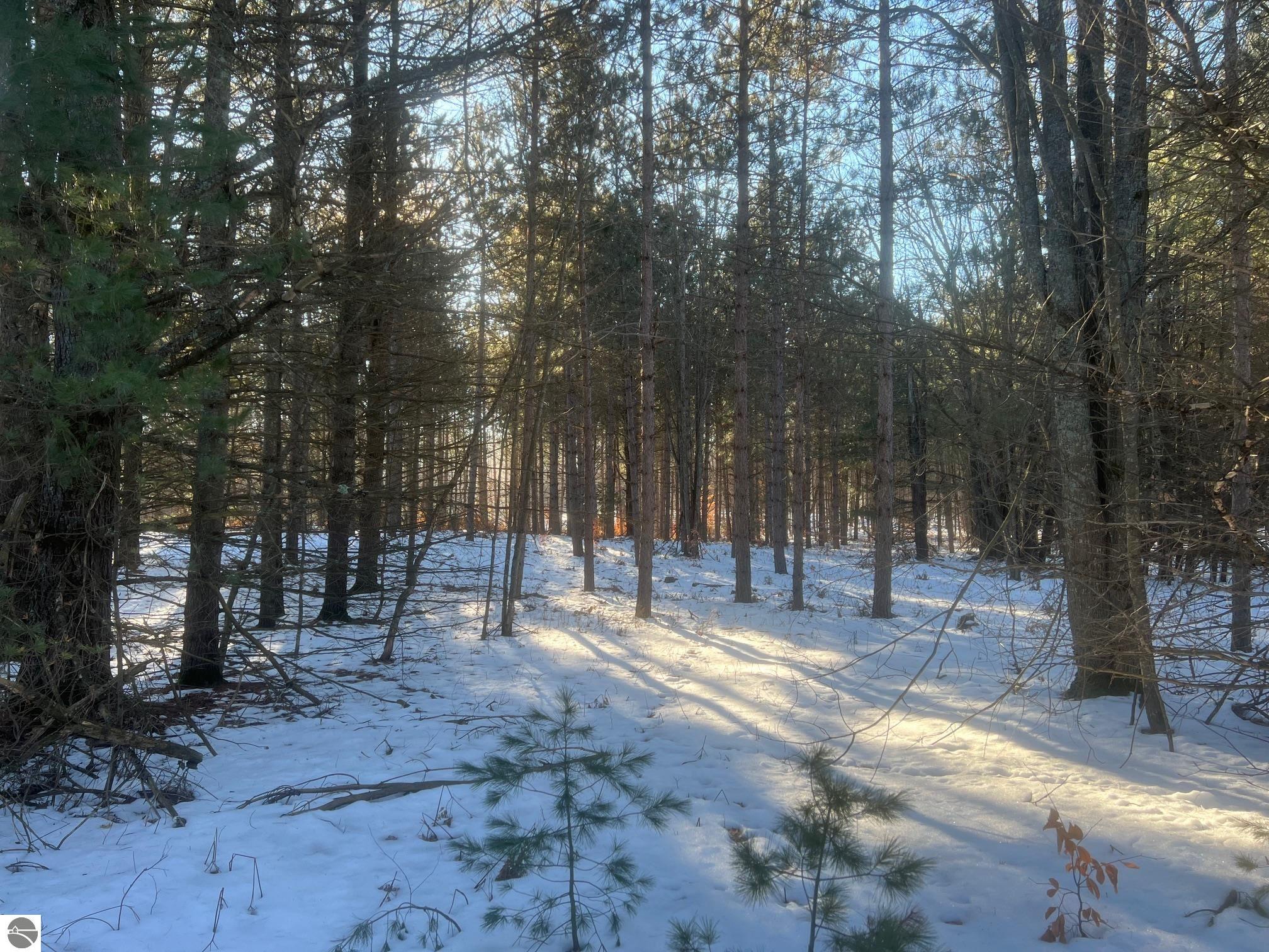 3436 Woodman Road, SW