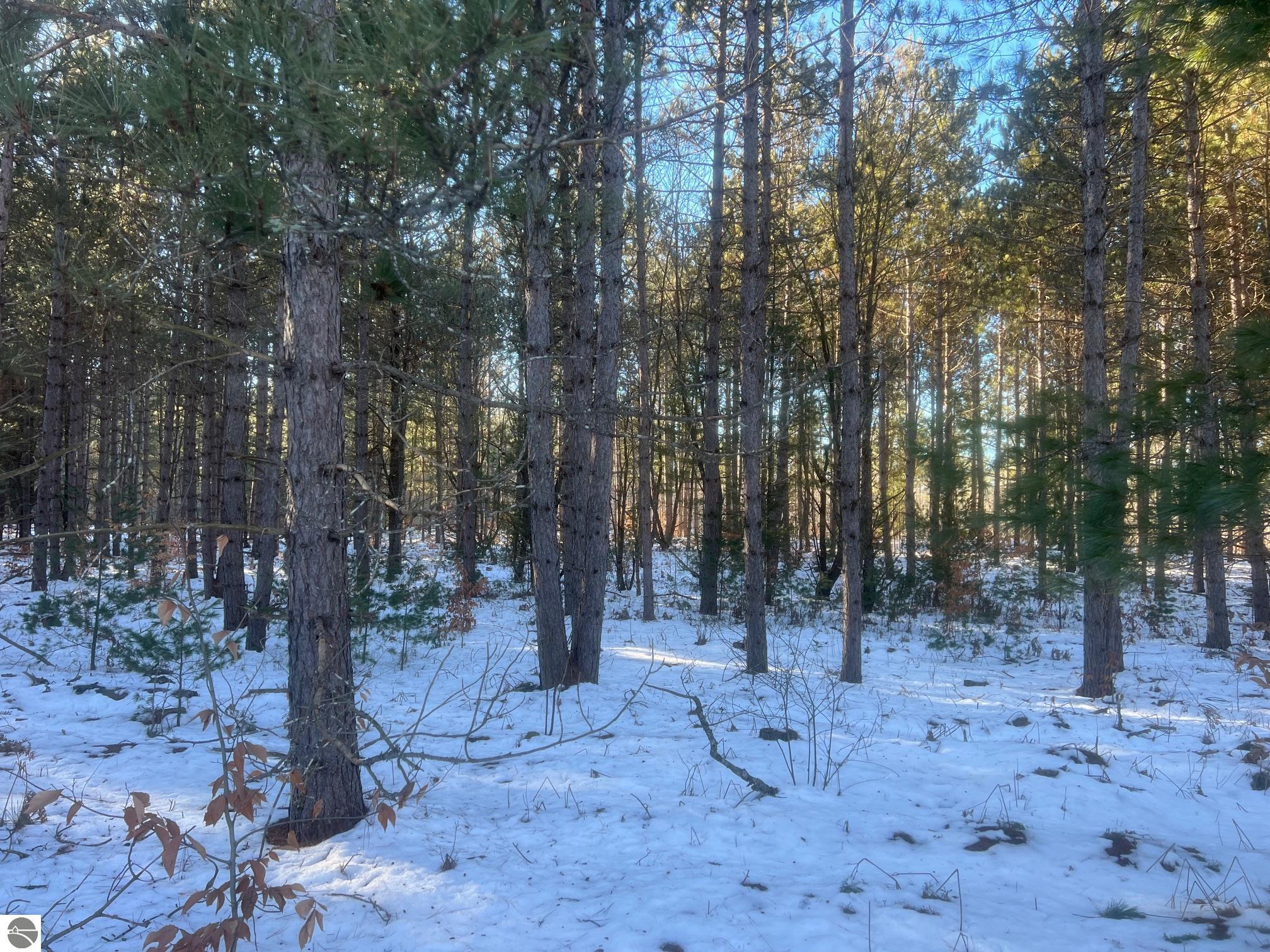 3436 Woodman Road, SW