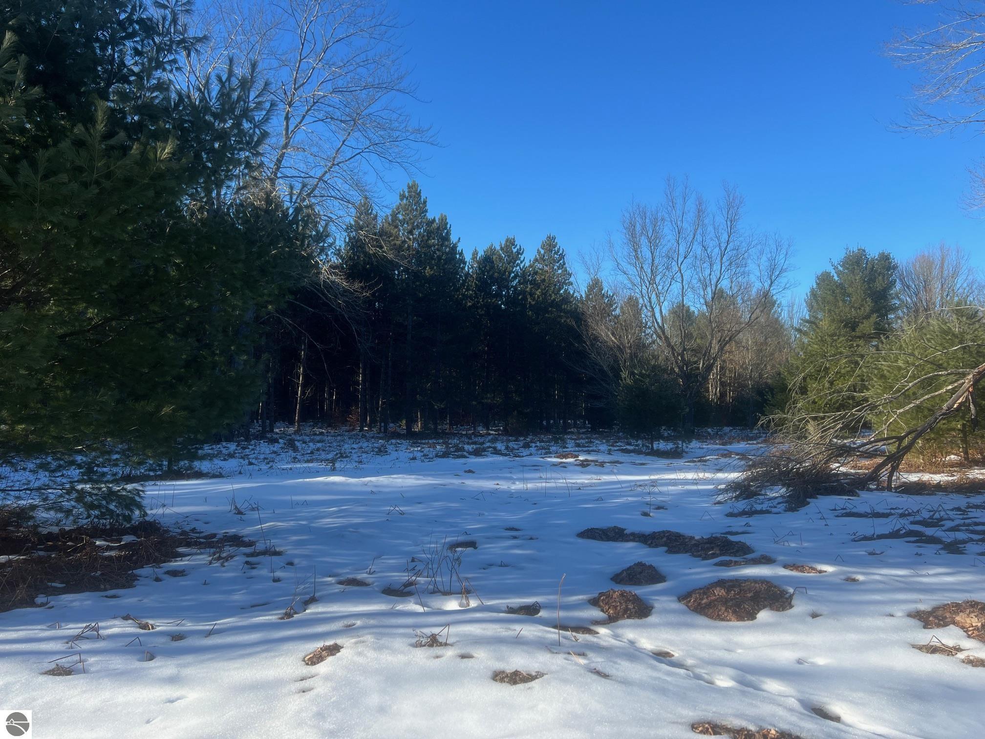 3436 Woodman Road, SW
