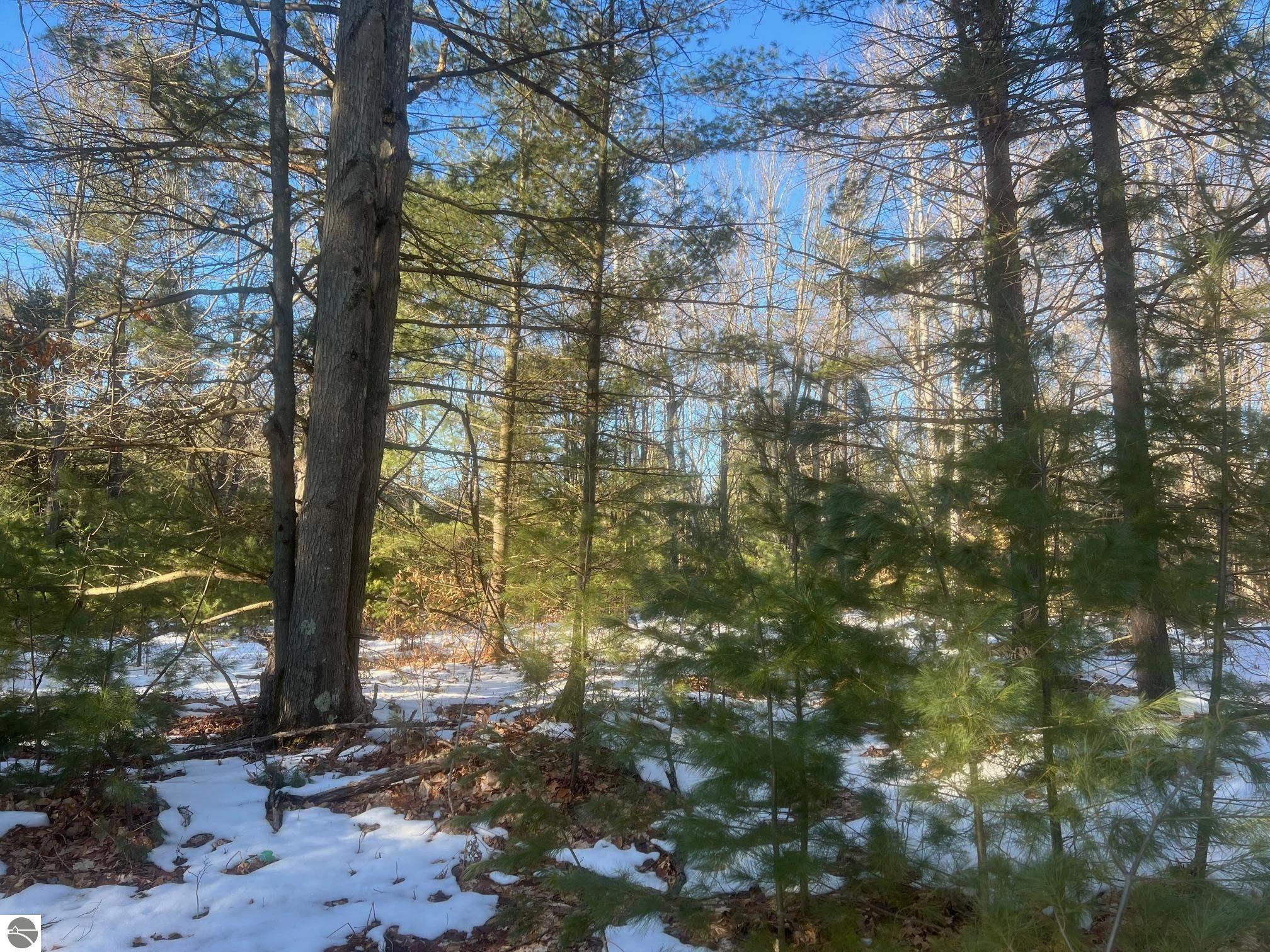 3436 Woodman Road, SW