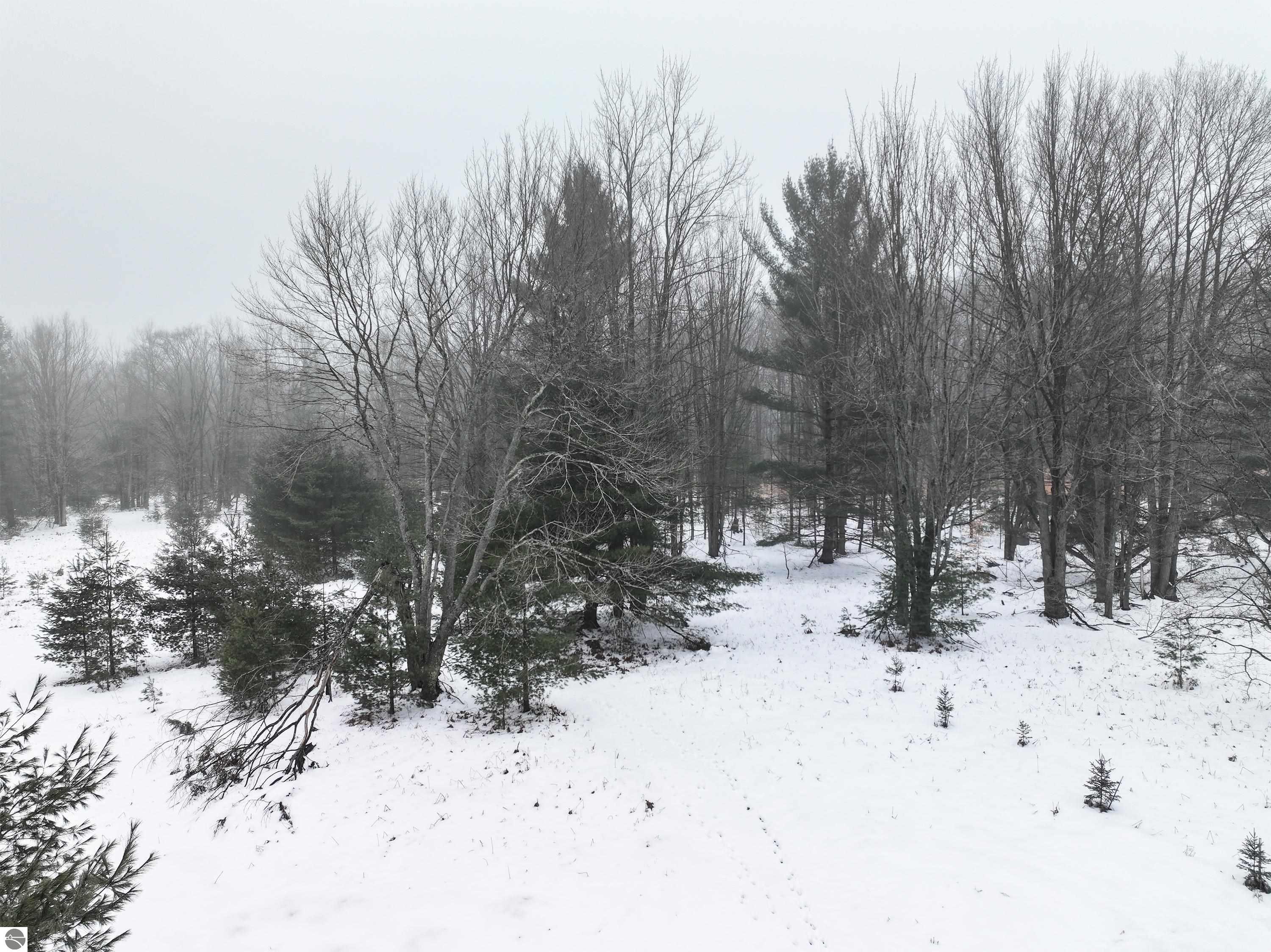 3436 Woodman Road, SW