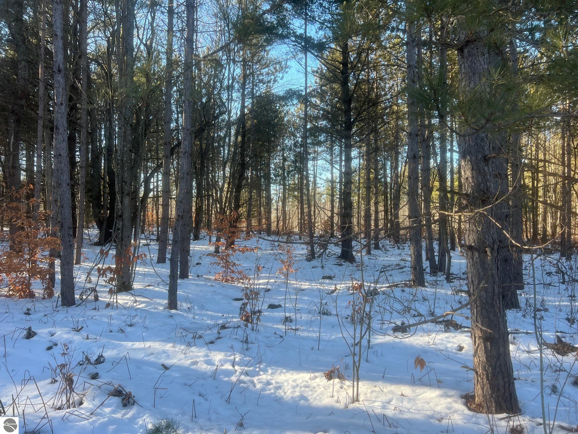 3436 Woodman Road, SW
