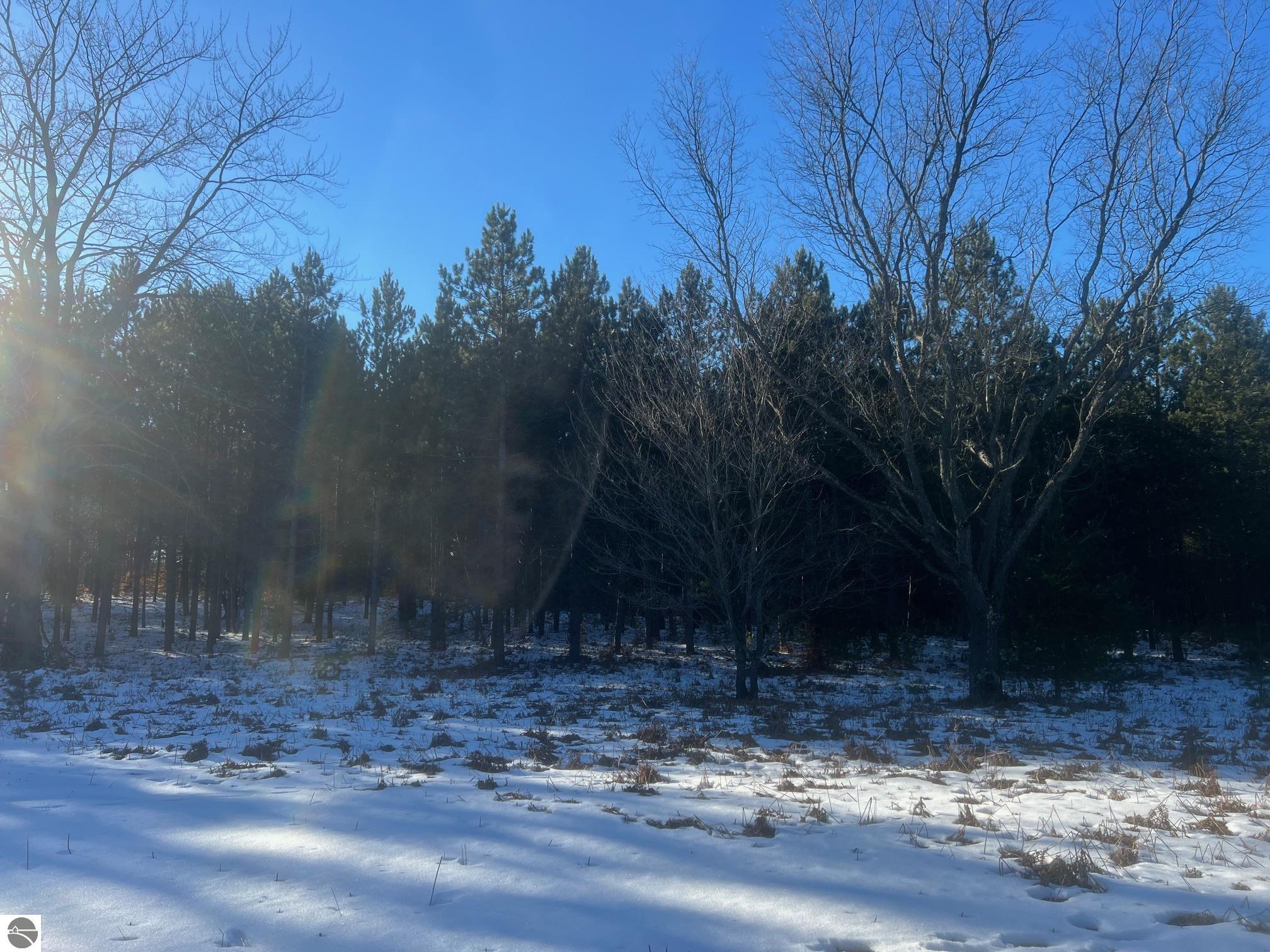 3436 Woodman Road, SW