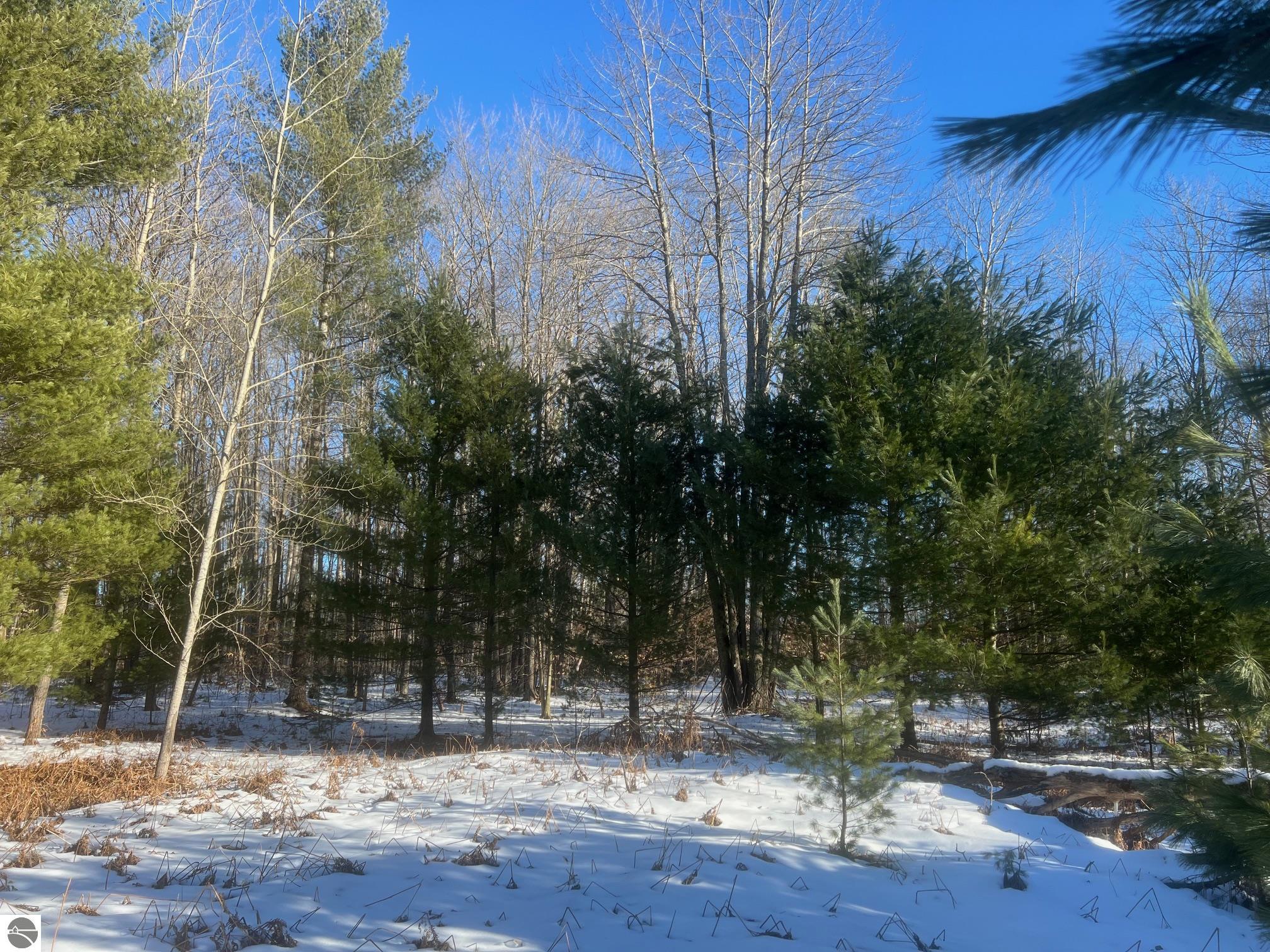 3436 Woodman Road, SW