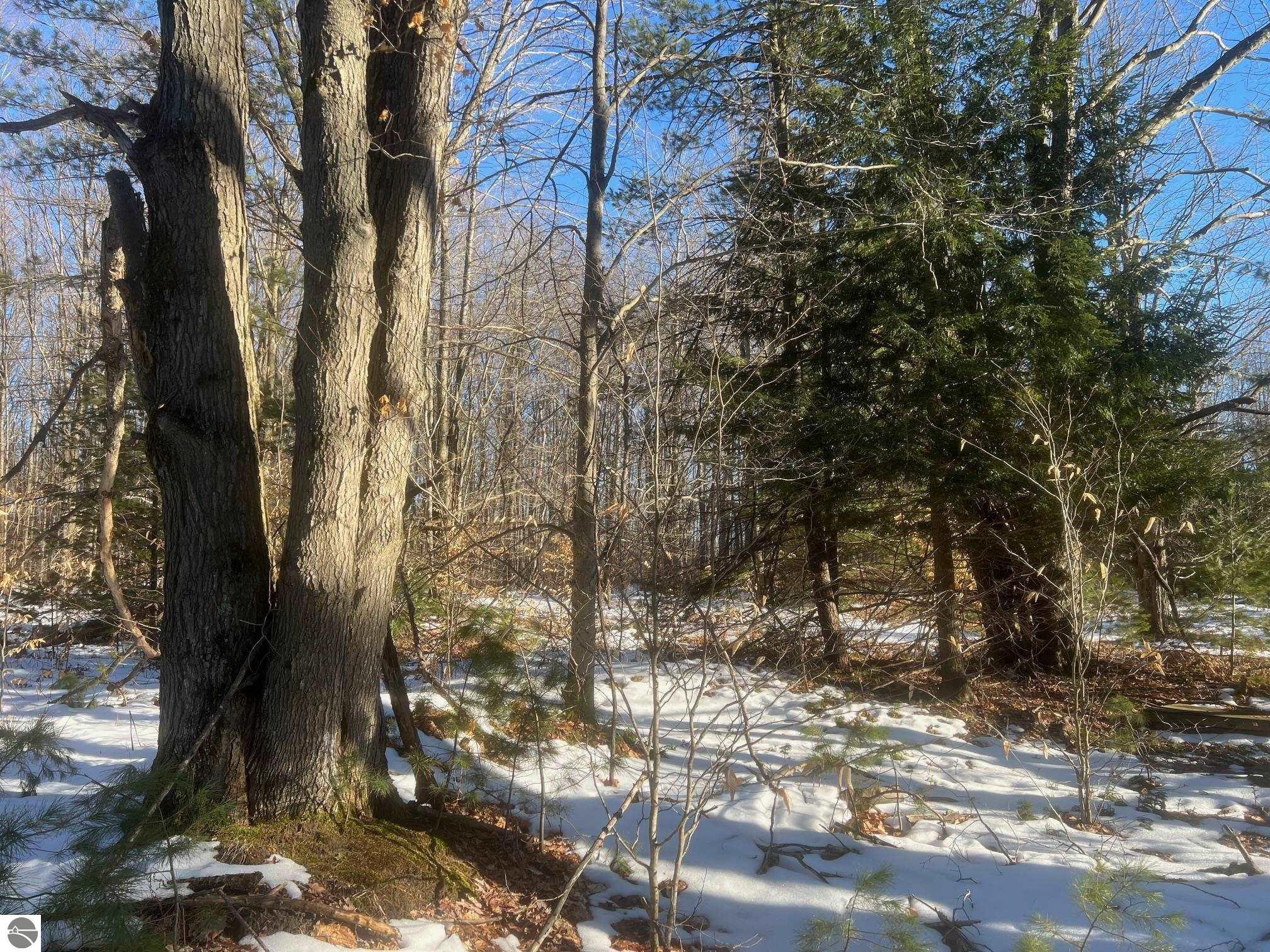 3436 Woodman Road, SW