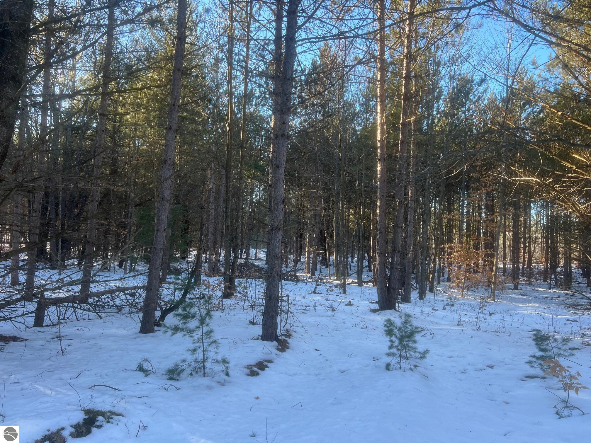 3436 Woodman Road, SW