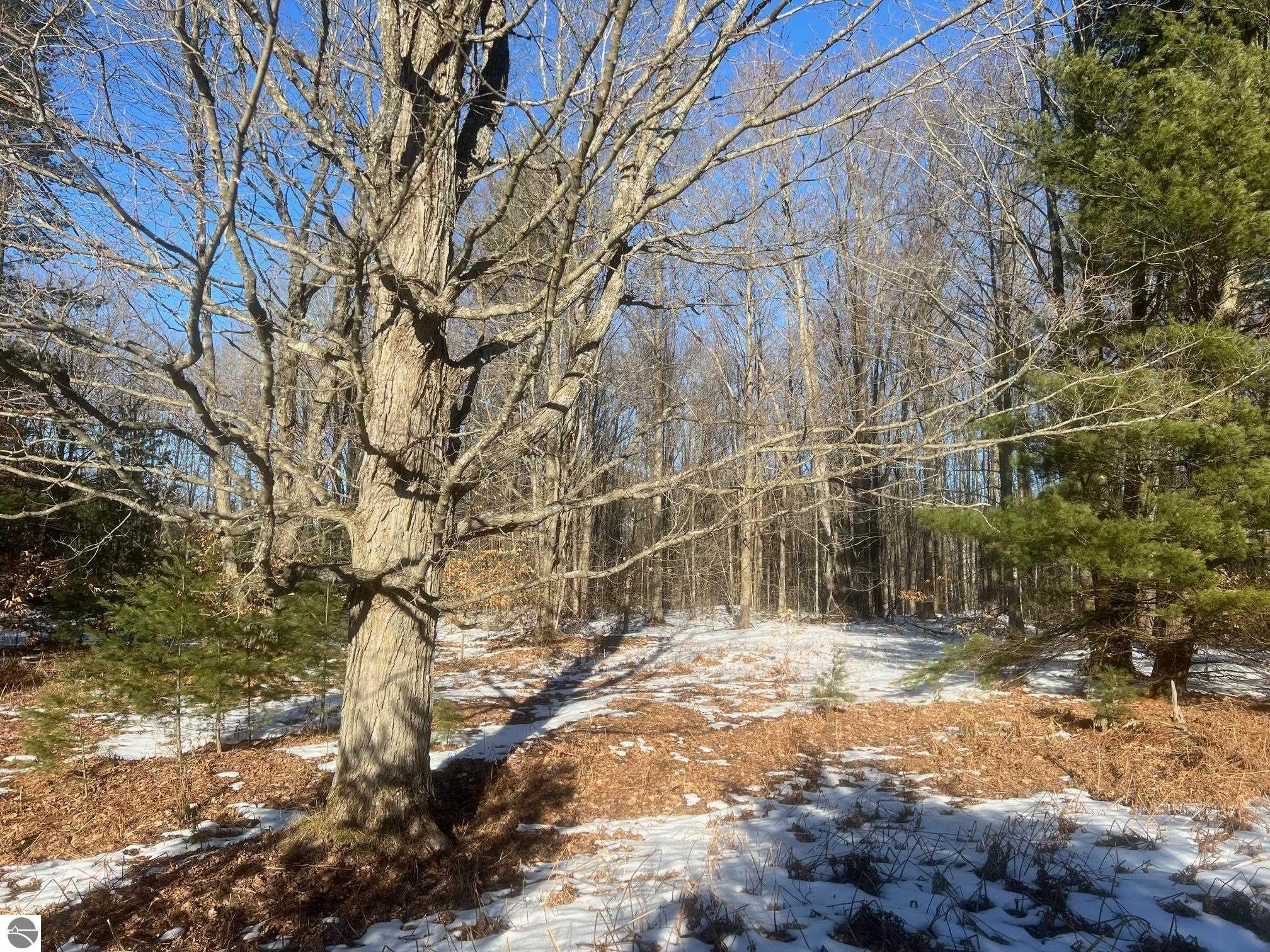 3436 Woodman Road, SW