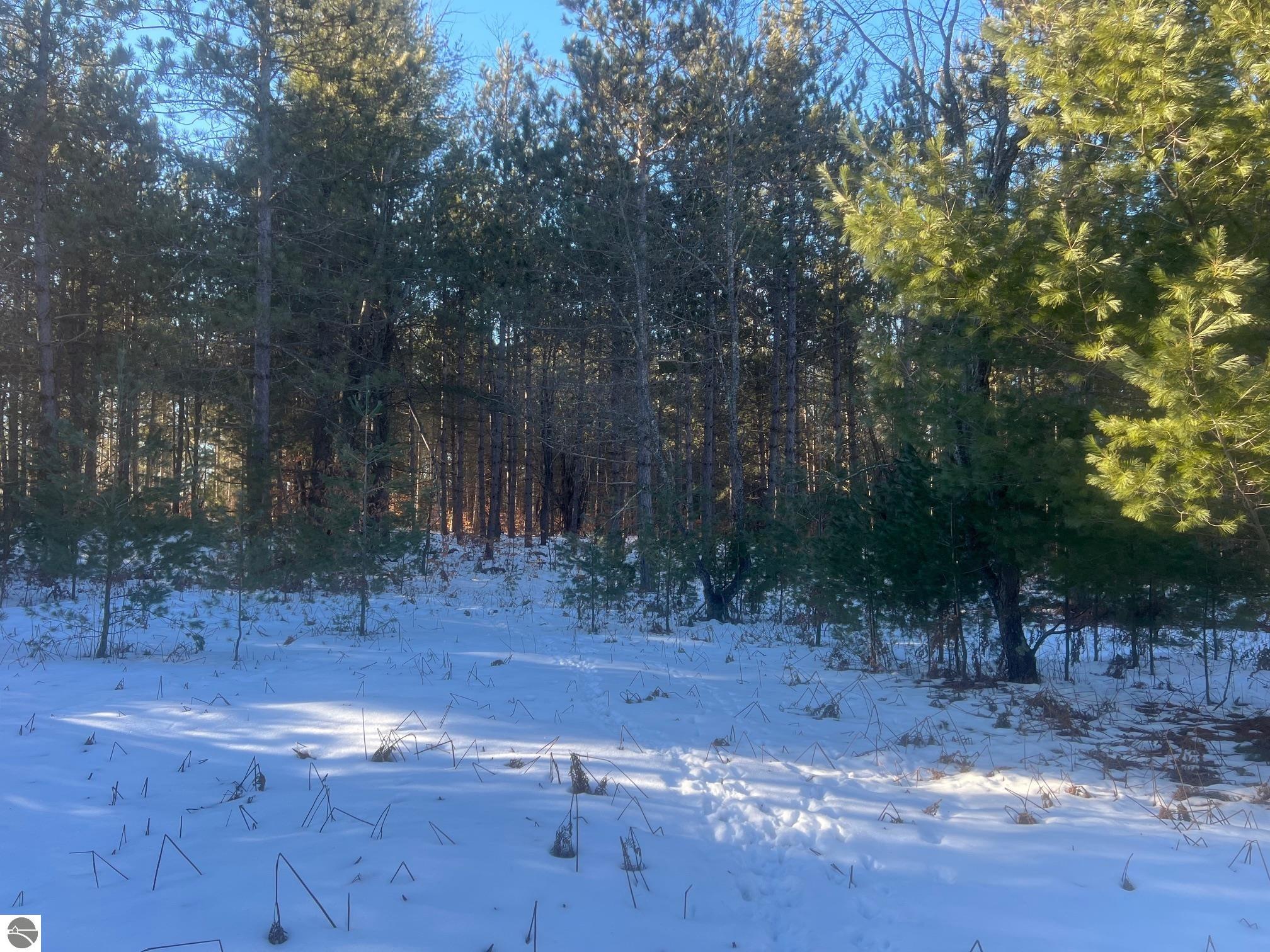 3436 Woodman Road, SW