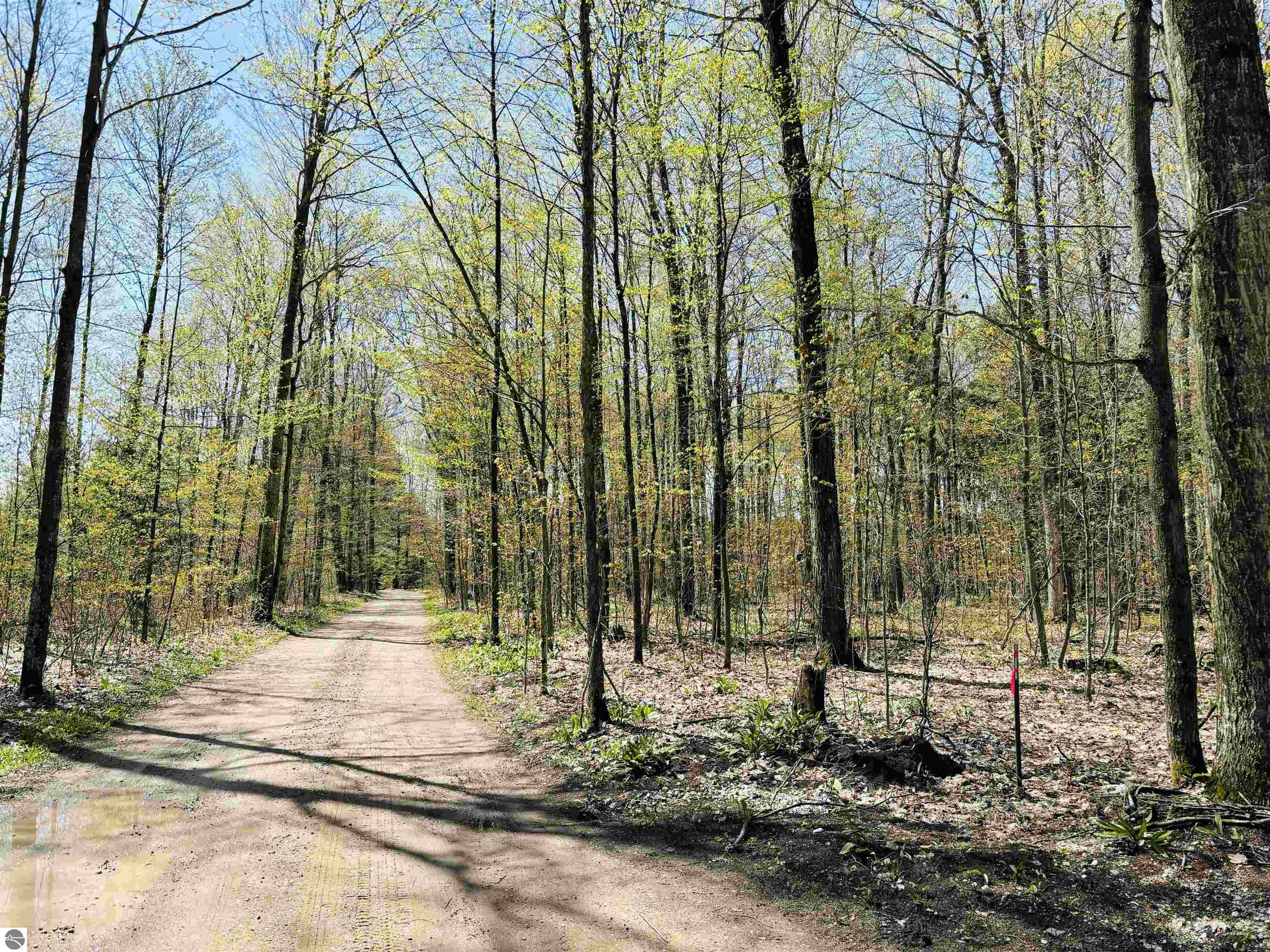 160 Hidden Meadow Trail