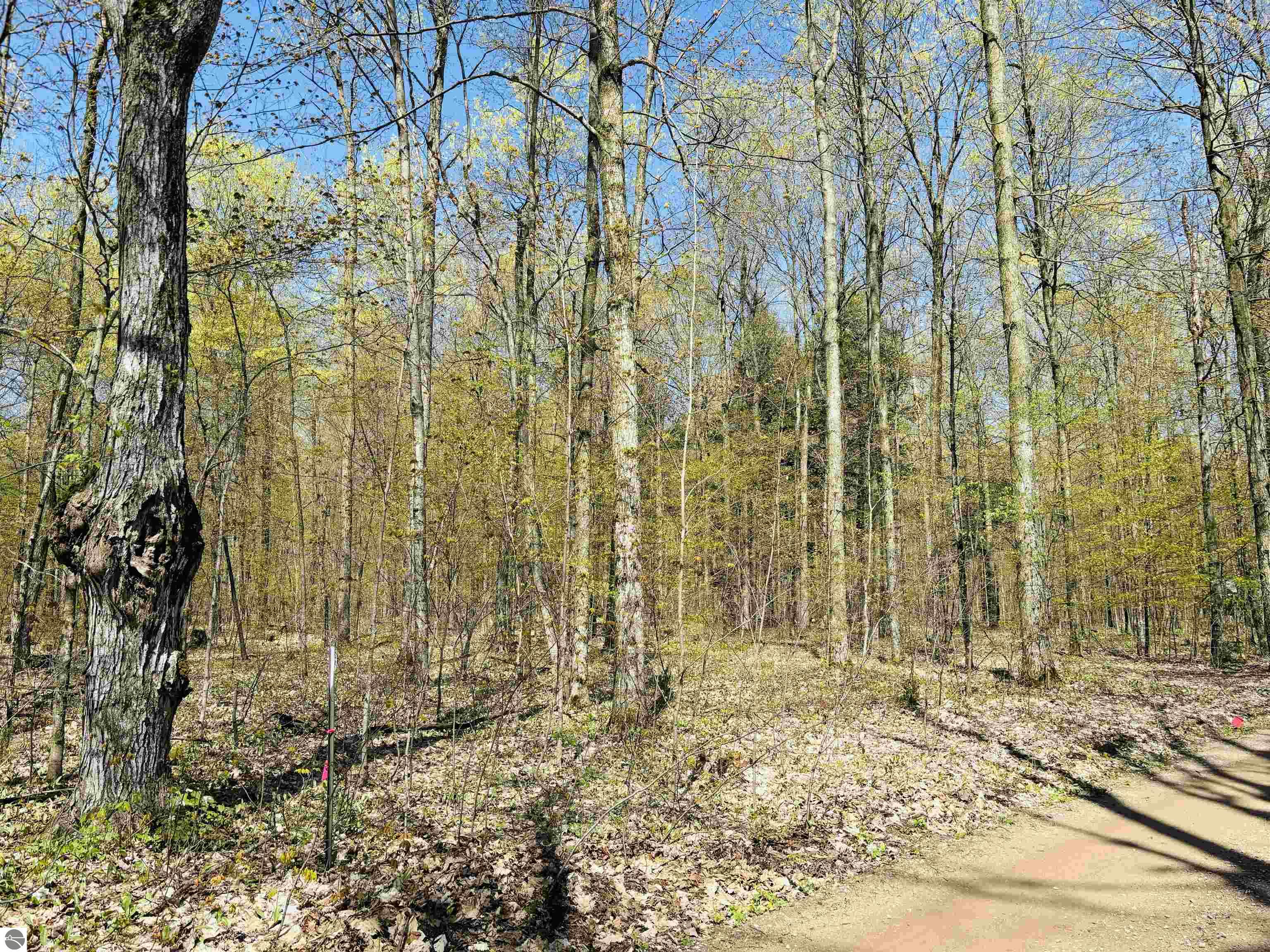 160 Hidden Meadow Trail