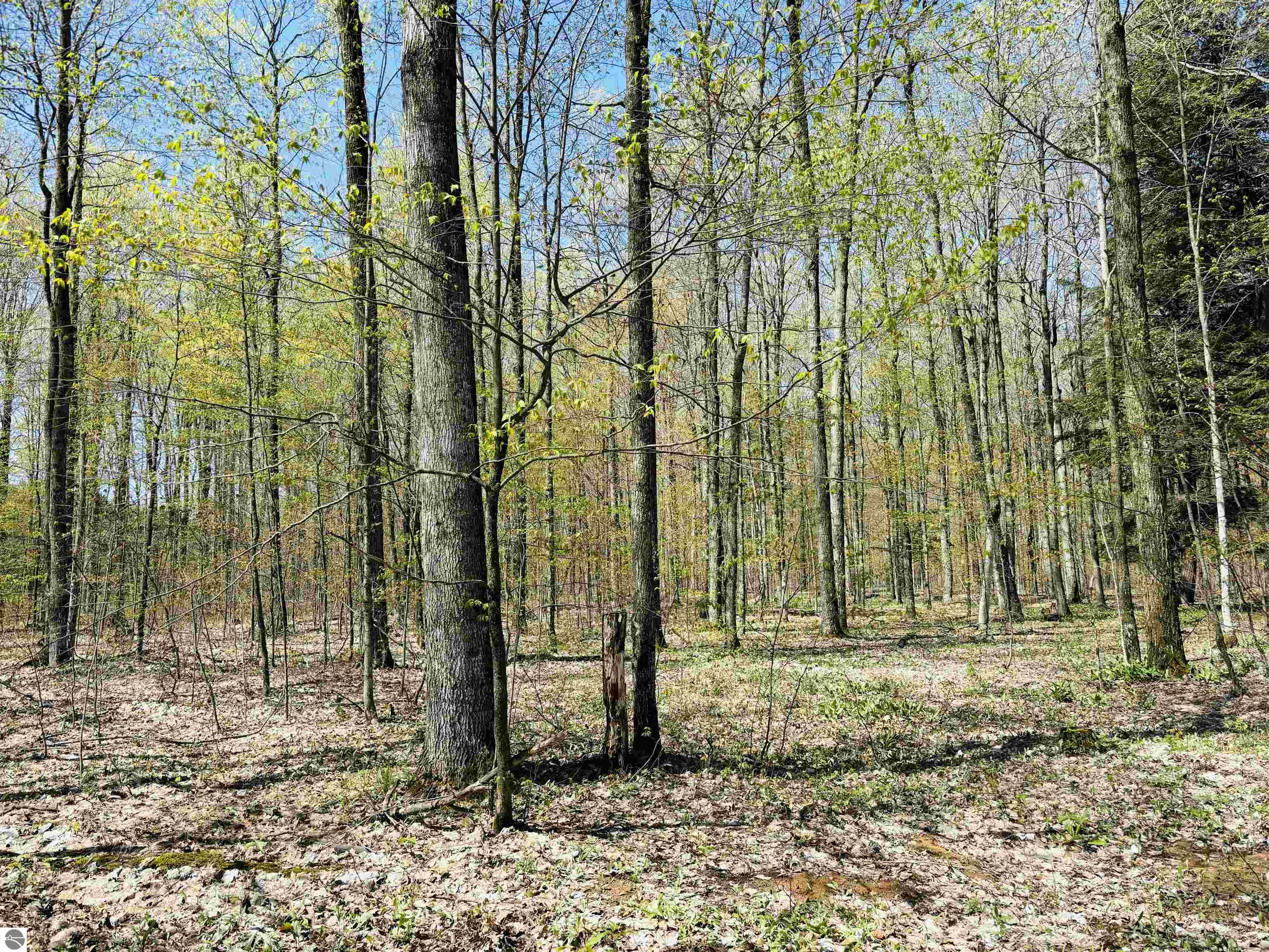 160 Hidden Meadow Trail