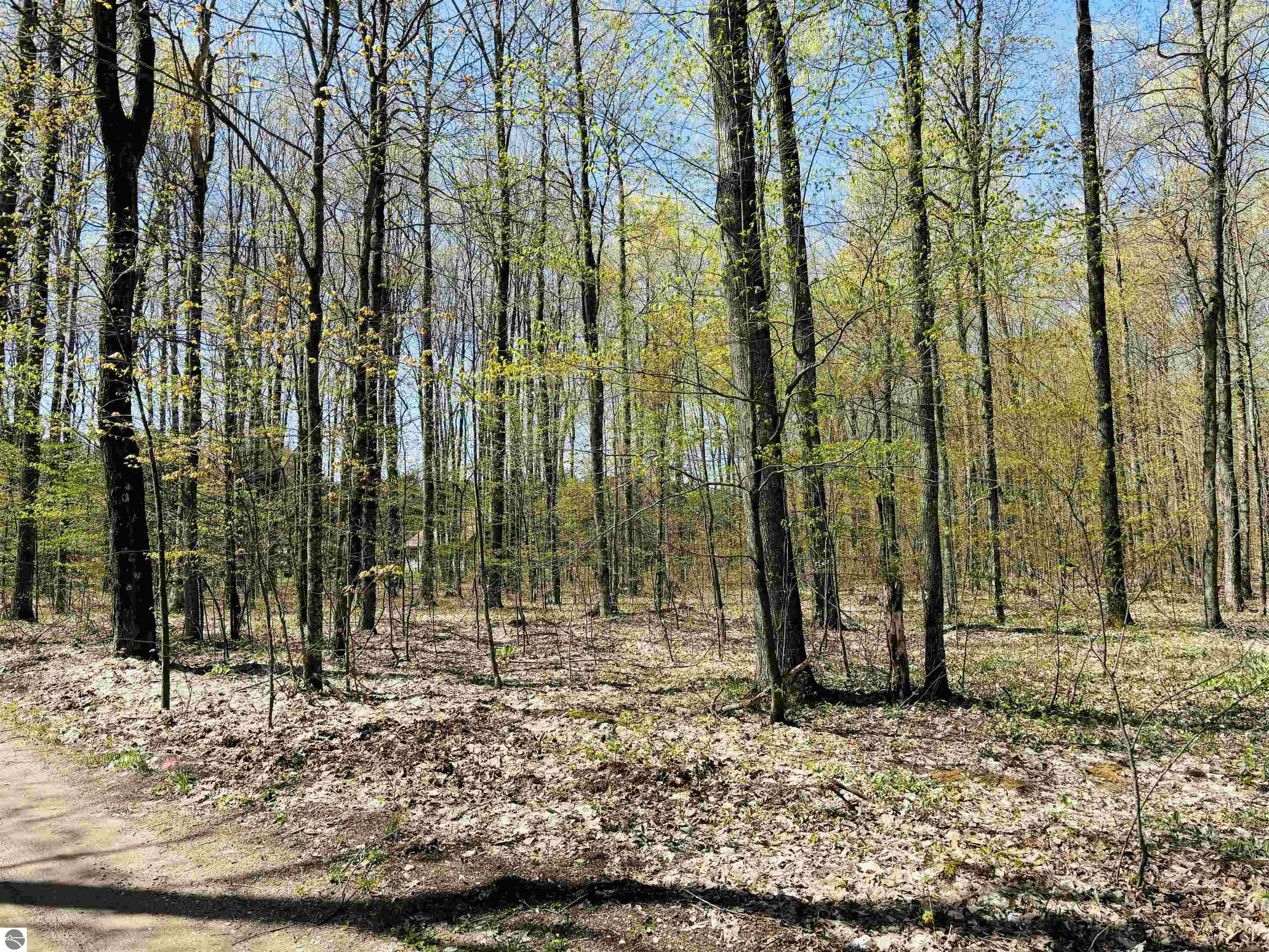 160 Hidden Meadow Trail