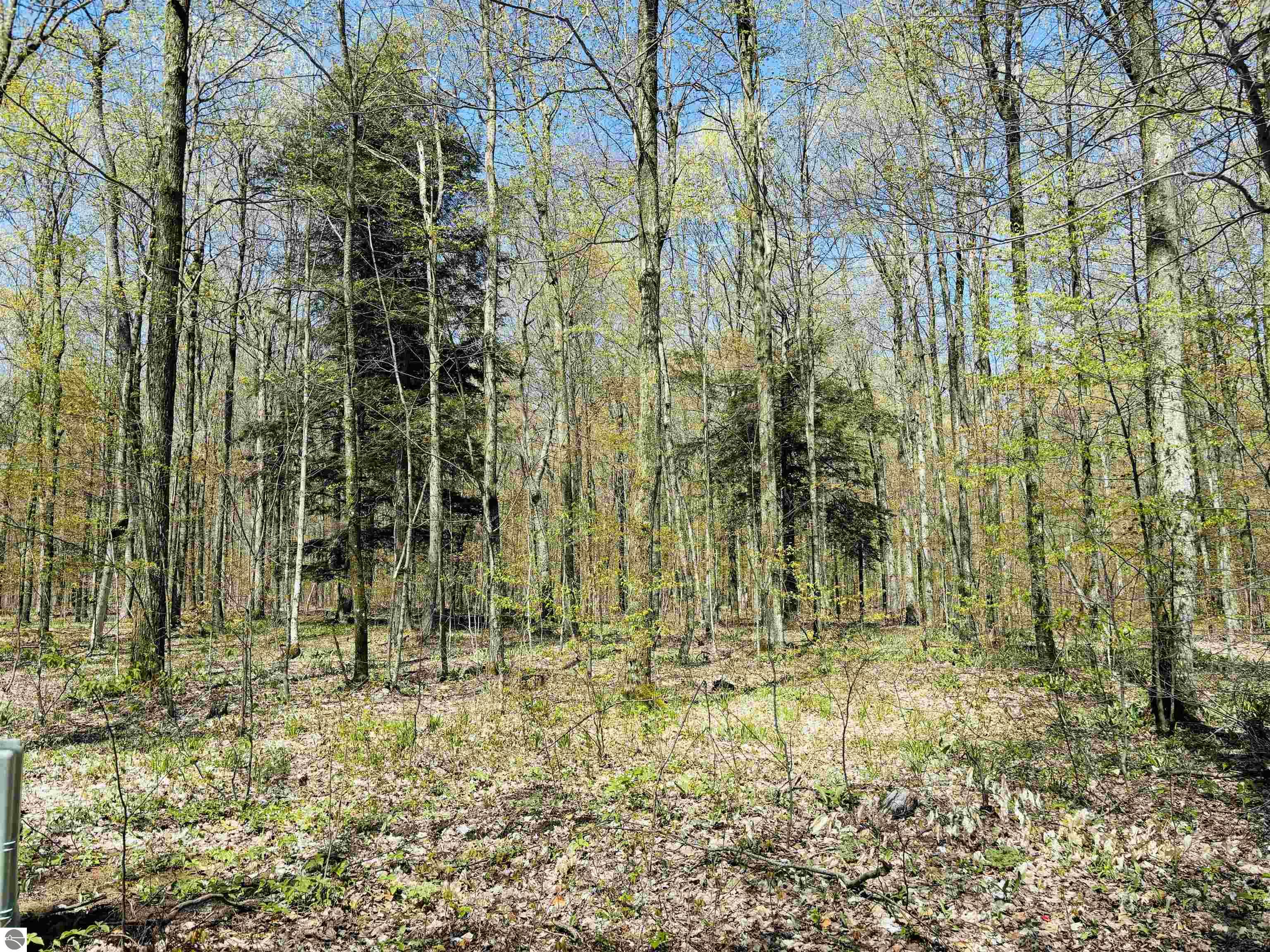 160 Hidden Meadow Trail