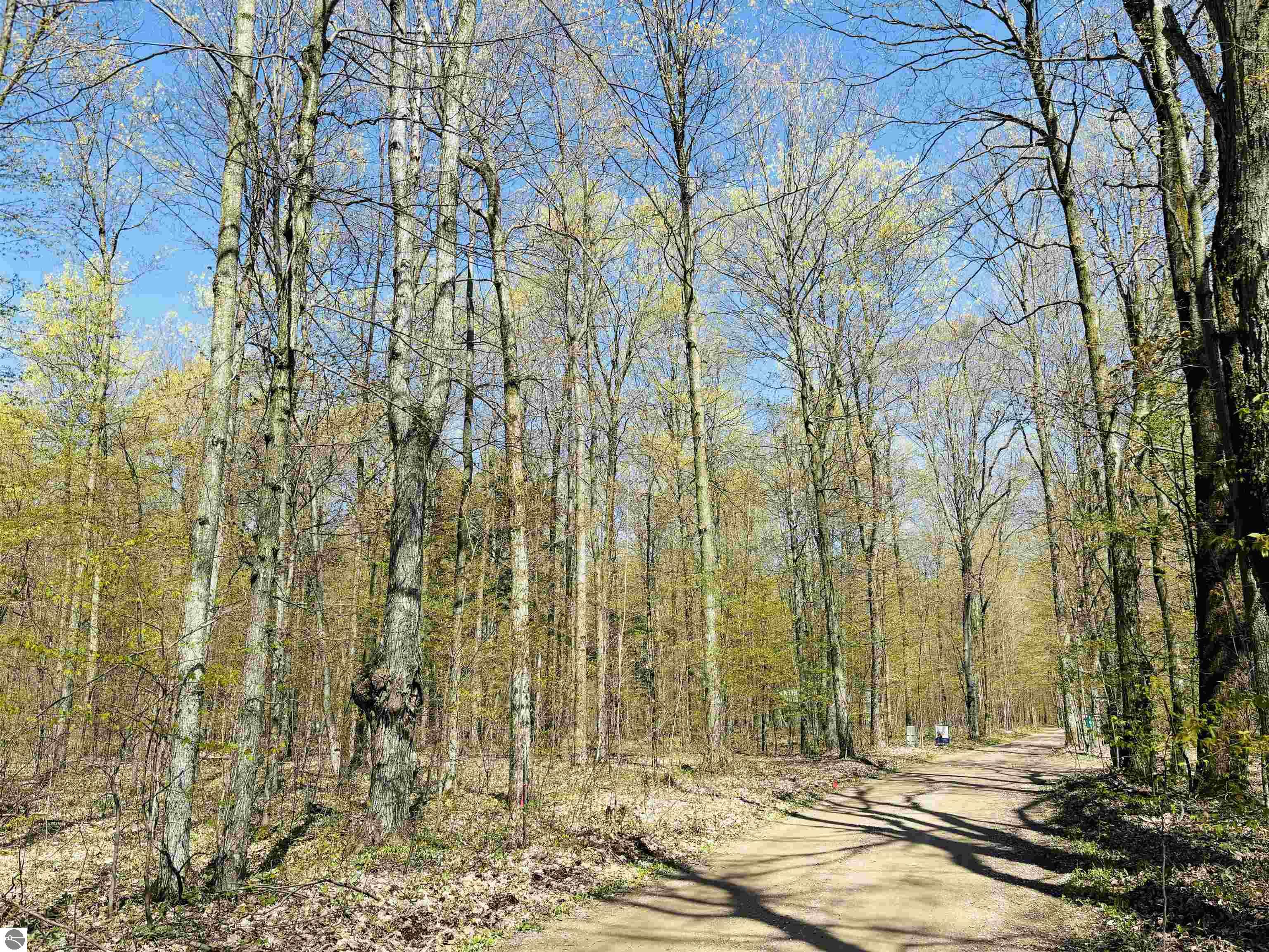 160 Hidden Meadow Trail