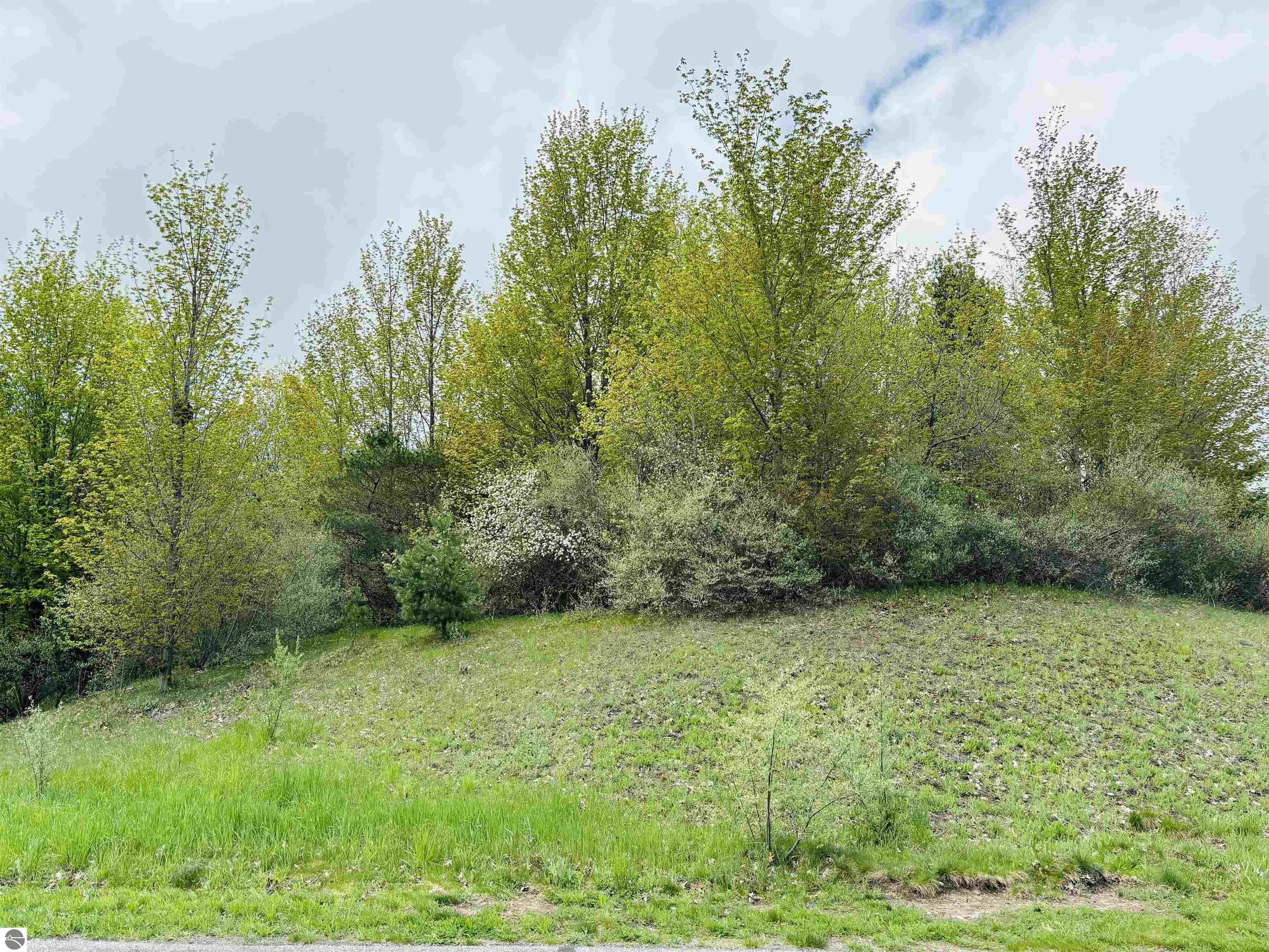 Lot 69 S Skye Hill Drive