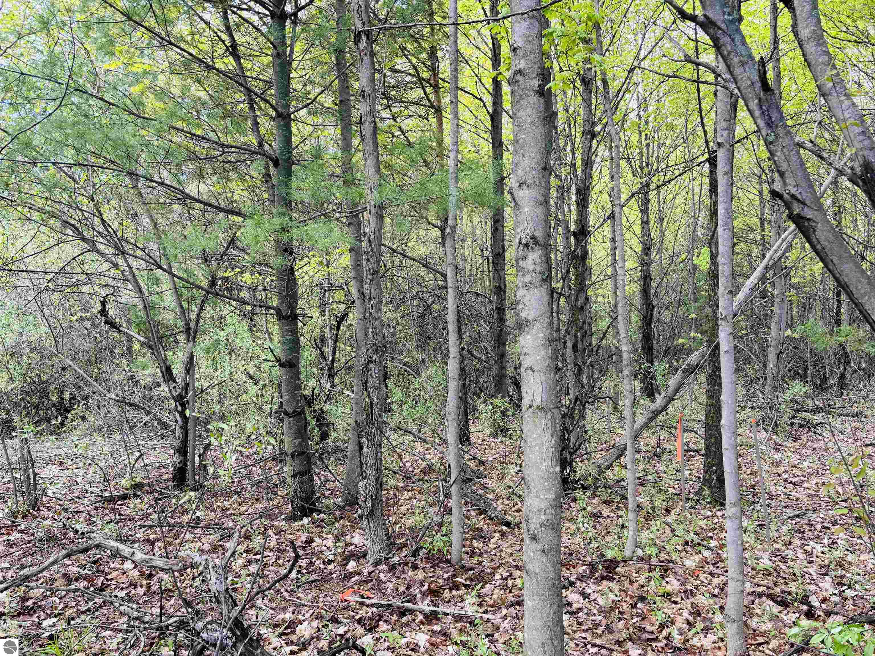 Lot 69 S Skye Hill Drive