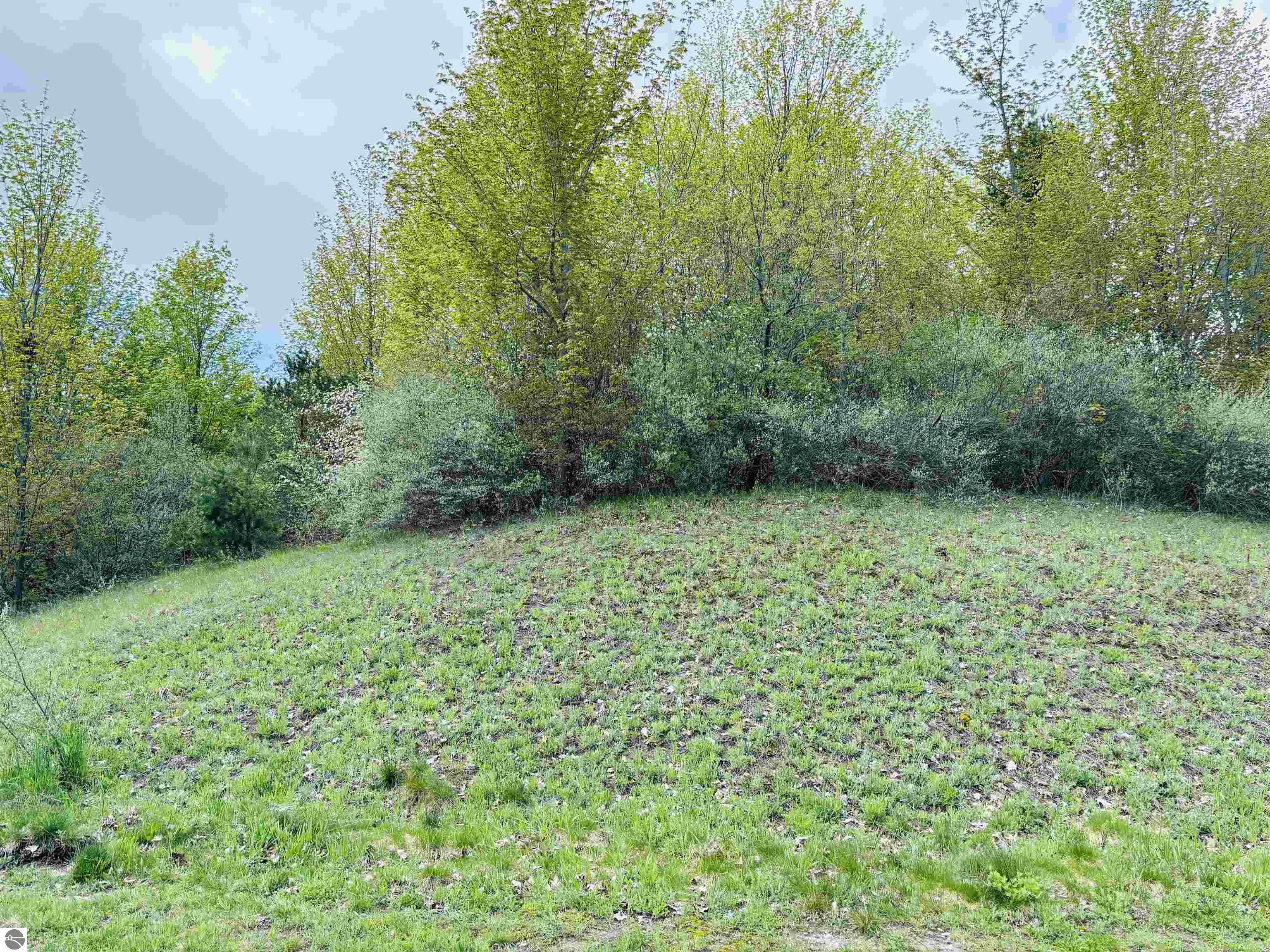 Lot 69 S Skye Hill Drive