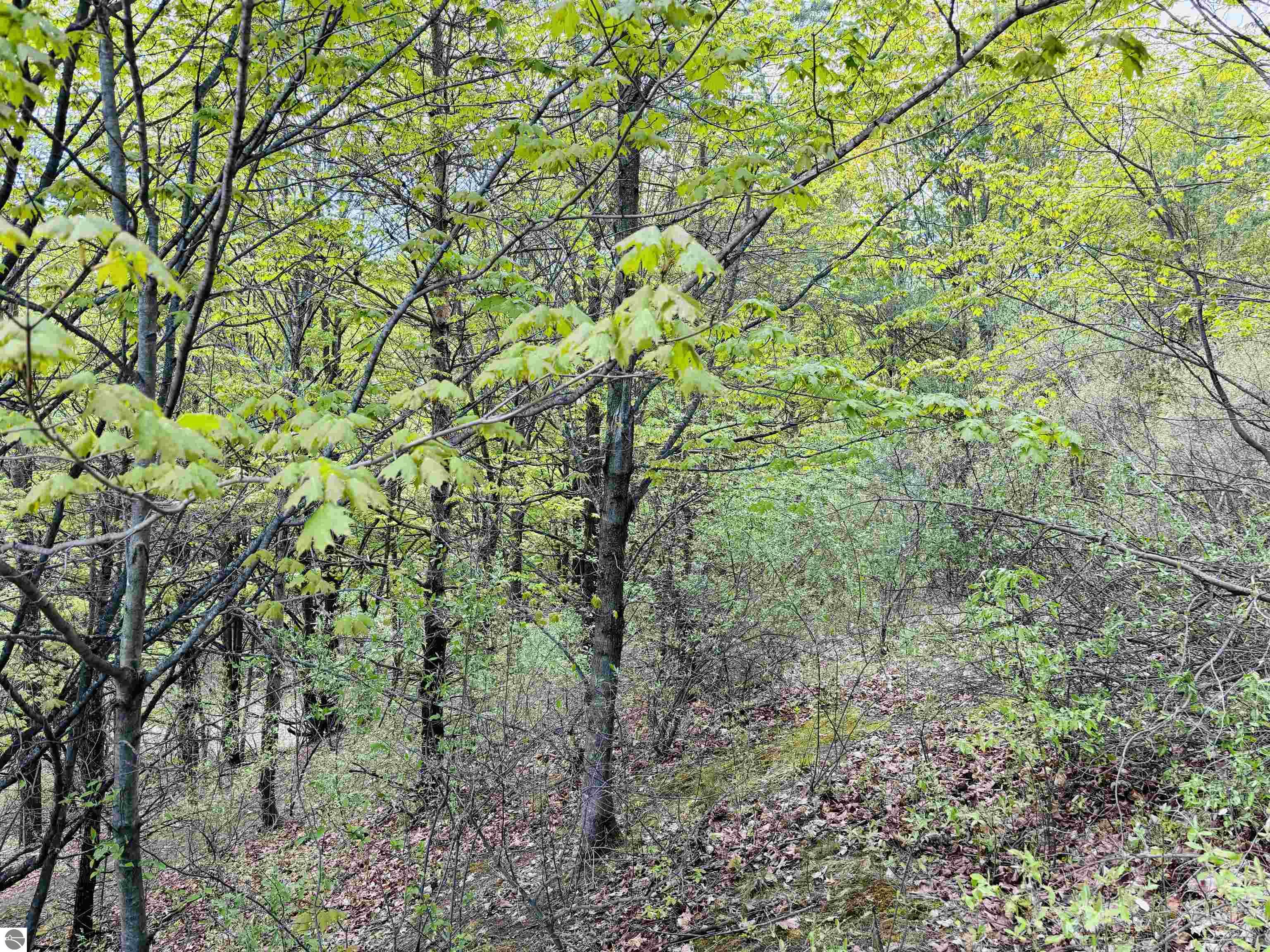 Lot 69 S Skye Hill Drive