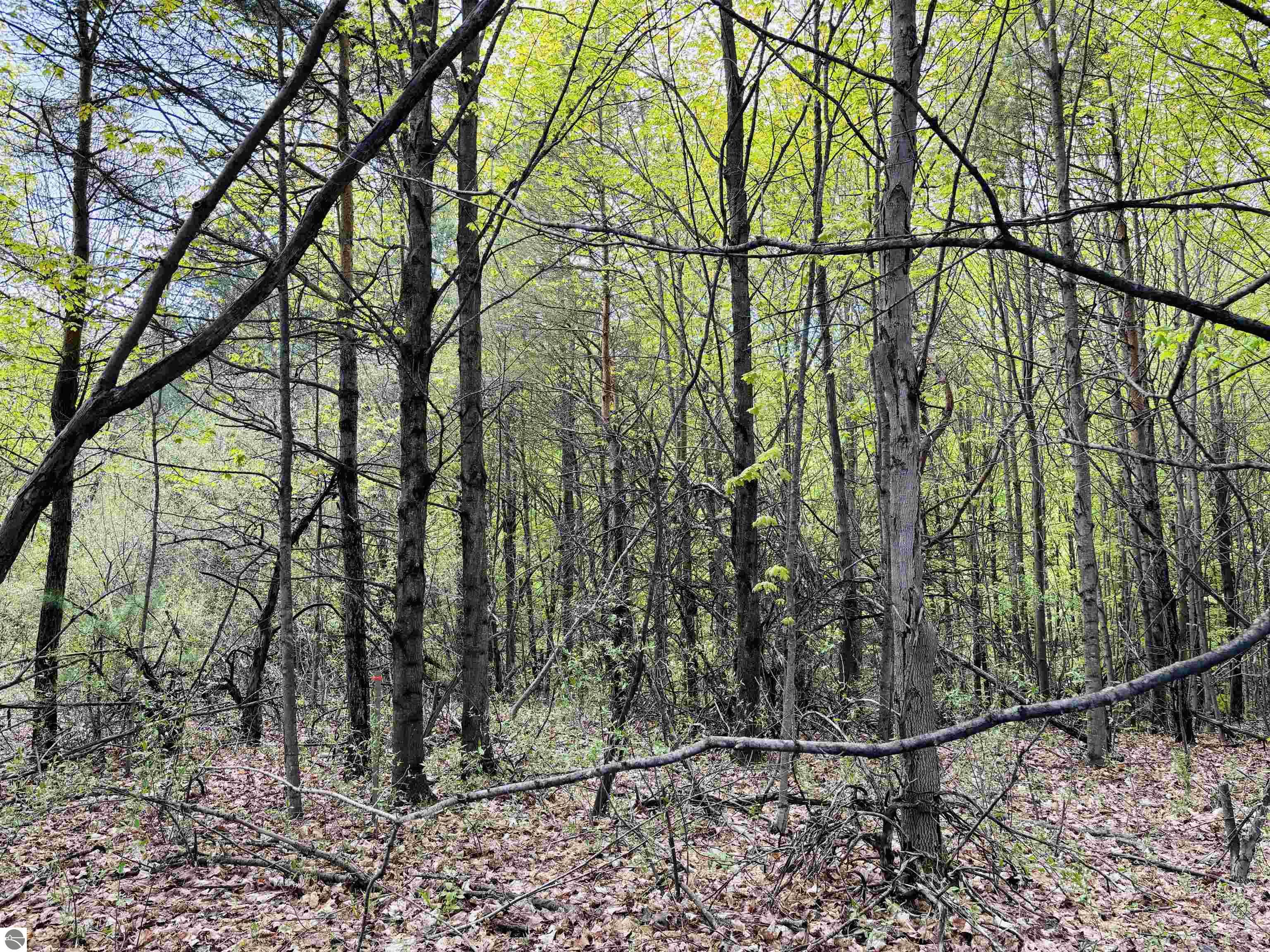 Lot 69 S Skye Hill Drive