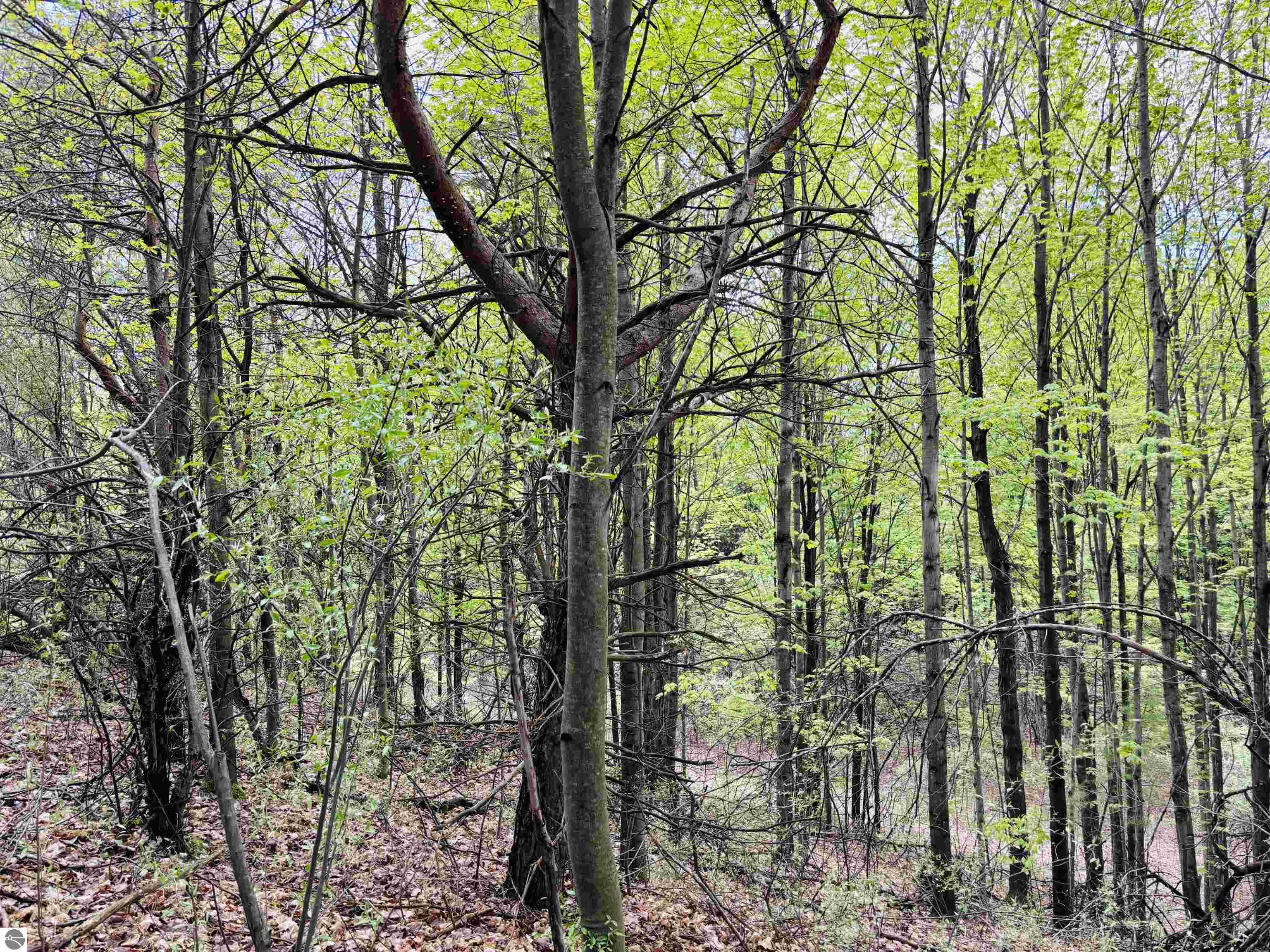 Lot 69 S Skye Hill Drive
