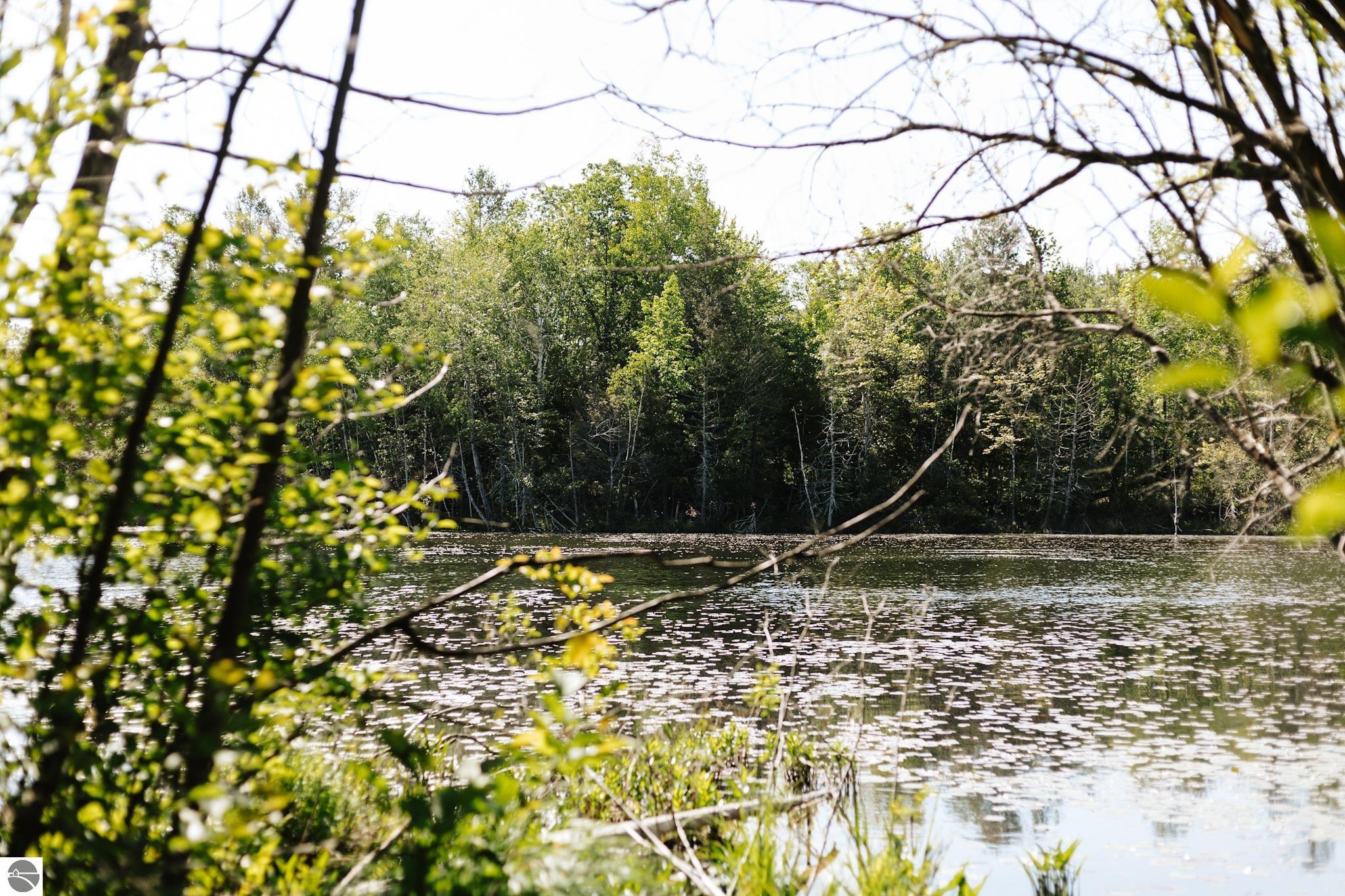 119 Peninsula Trail