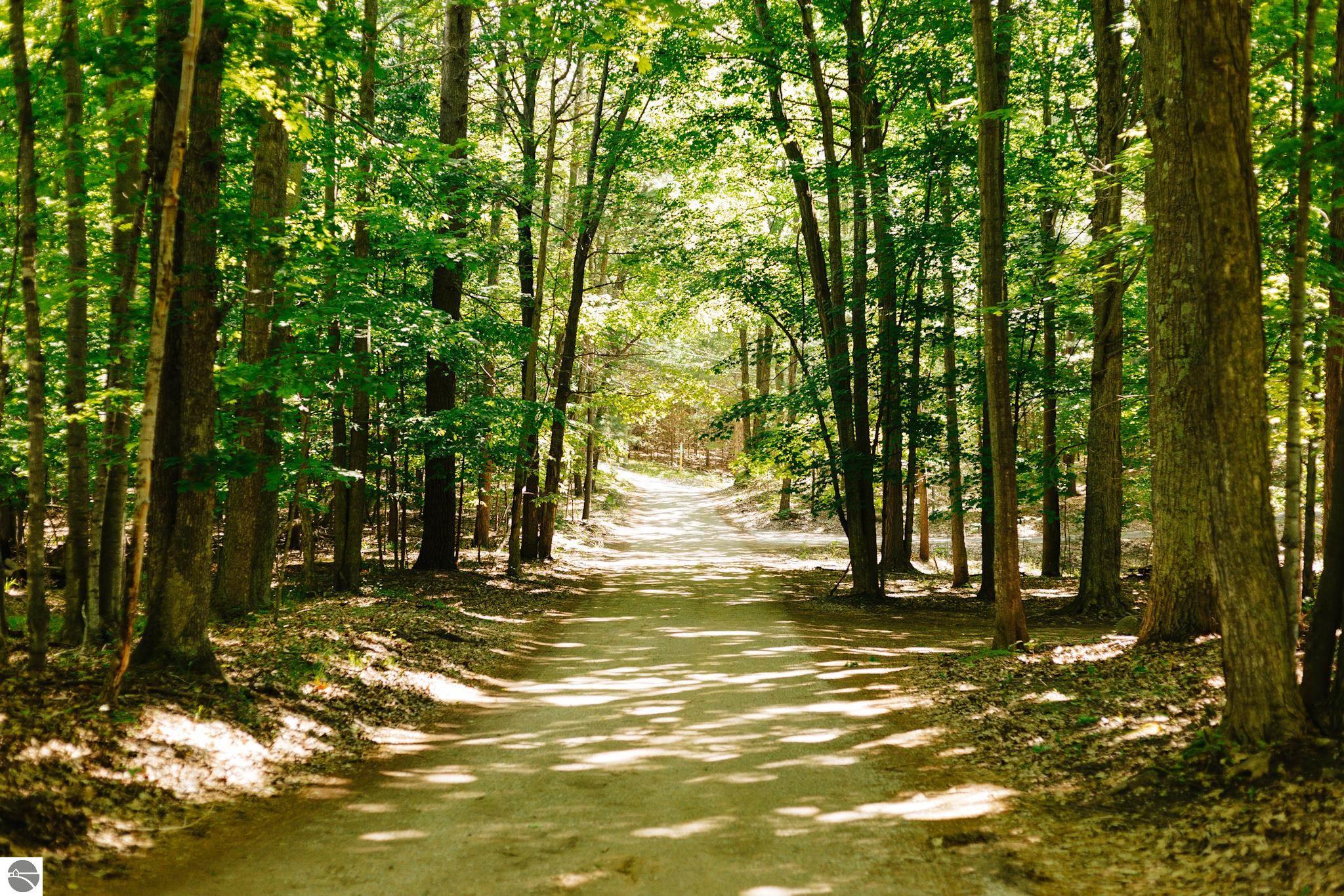 119 Peninsula Trail