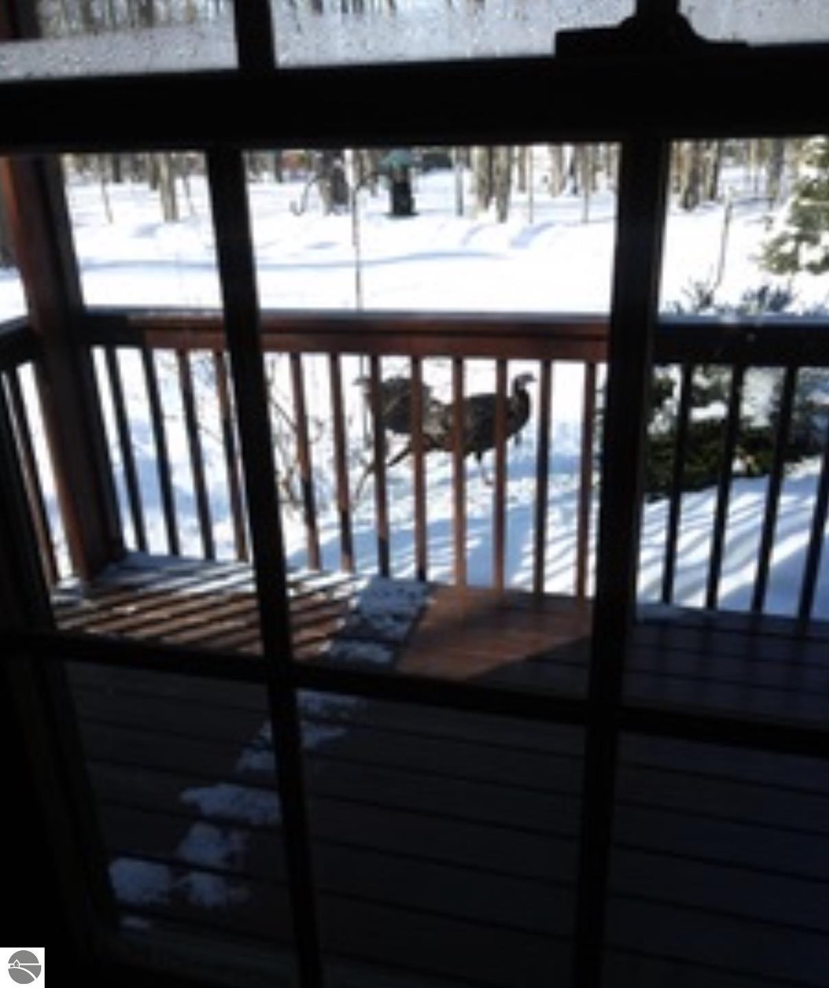 2593 NE Torch Lake Drive